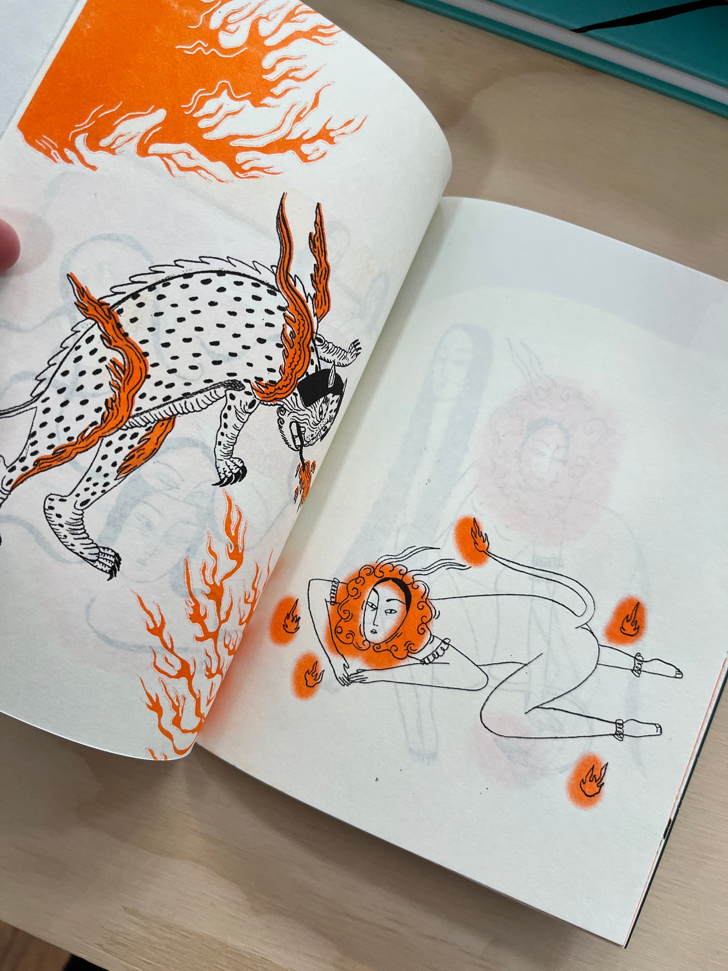 SOLO APARECEN DE NOCHE