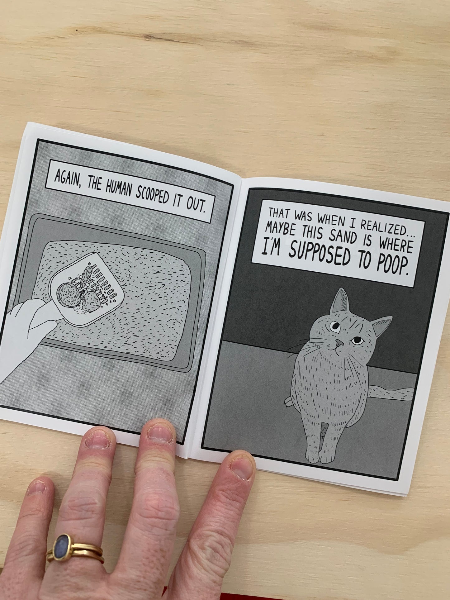 True Cat Confessions