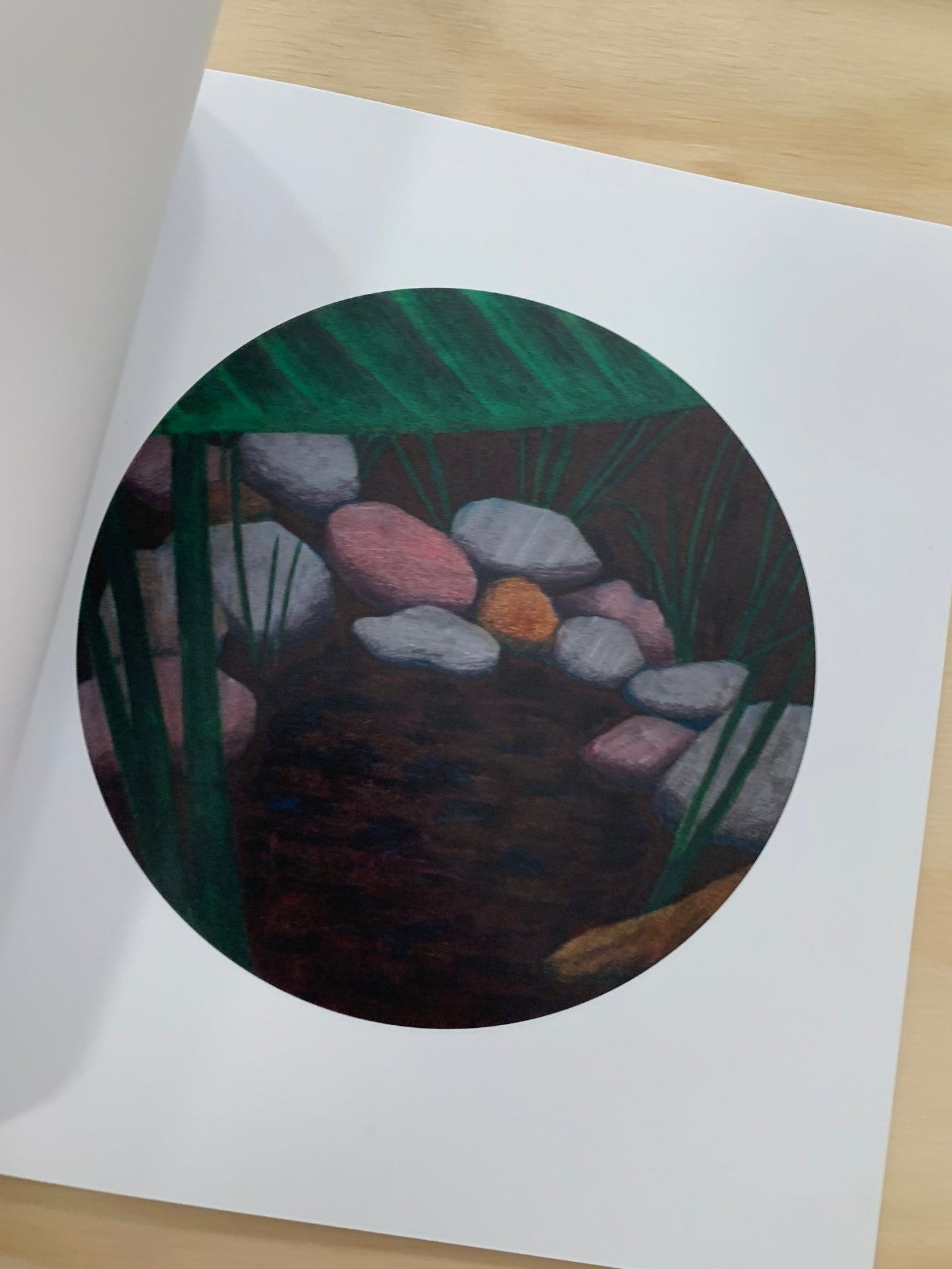 Dew Drop Diary