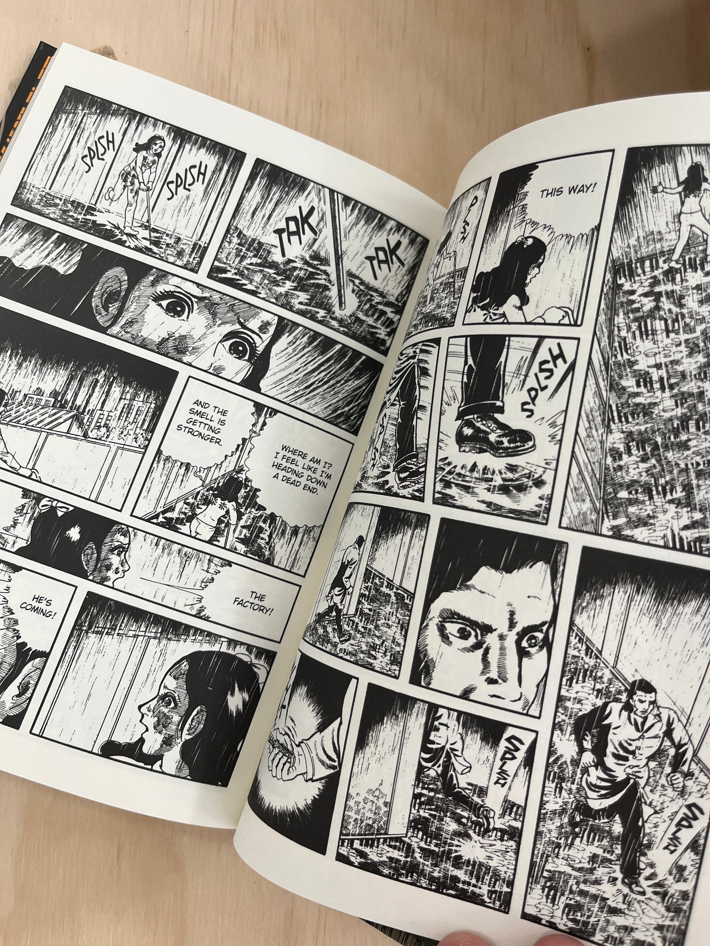 Orochi: The Perfect Edition, Vol. 4