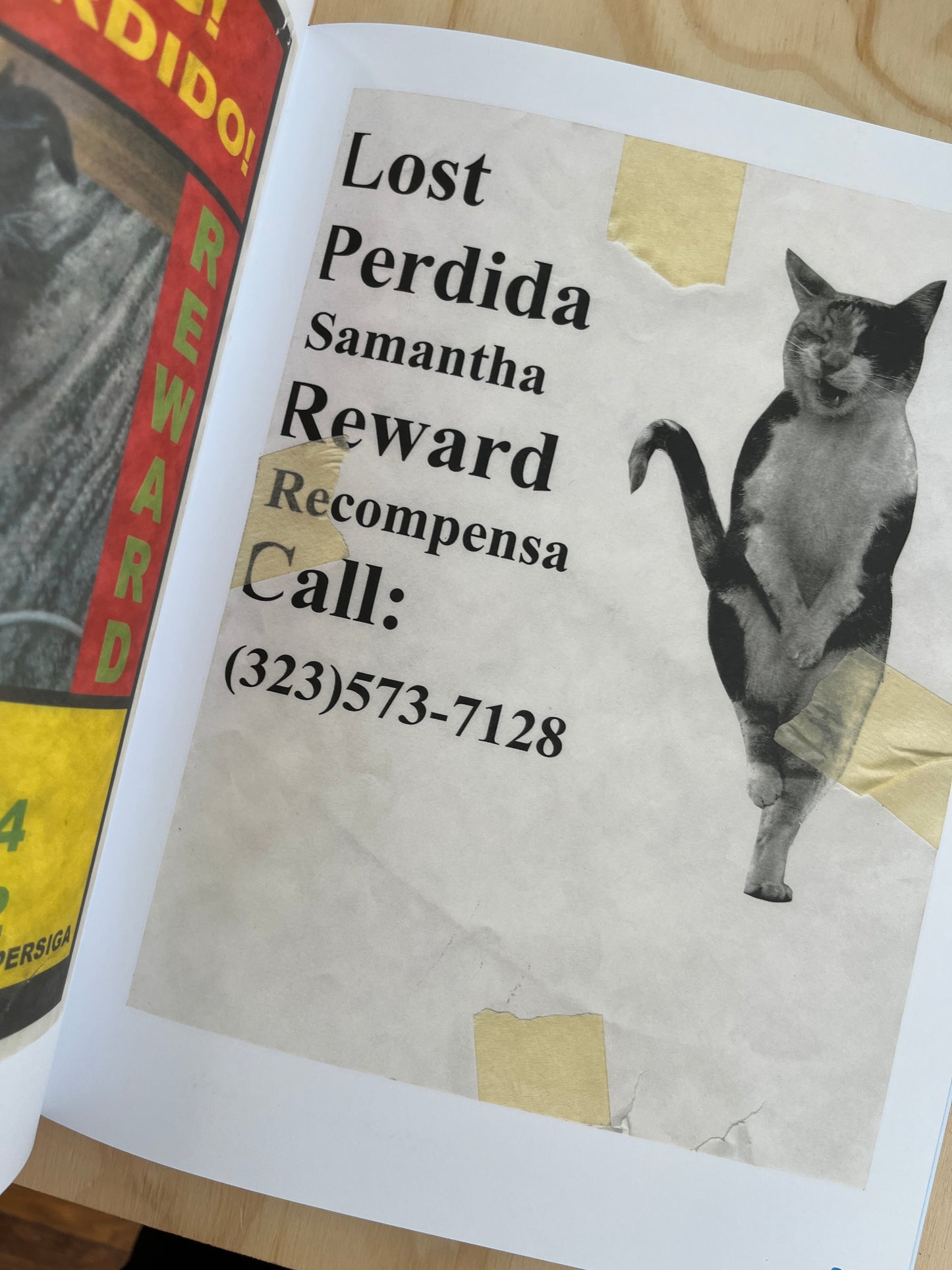 Still Missing