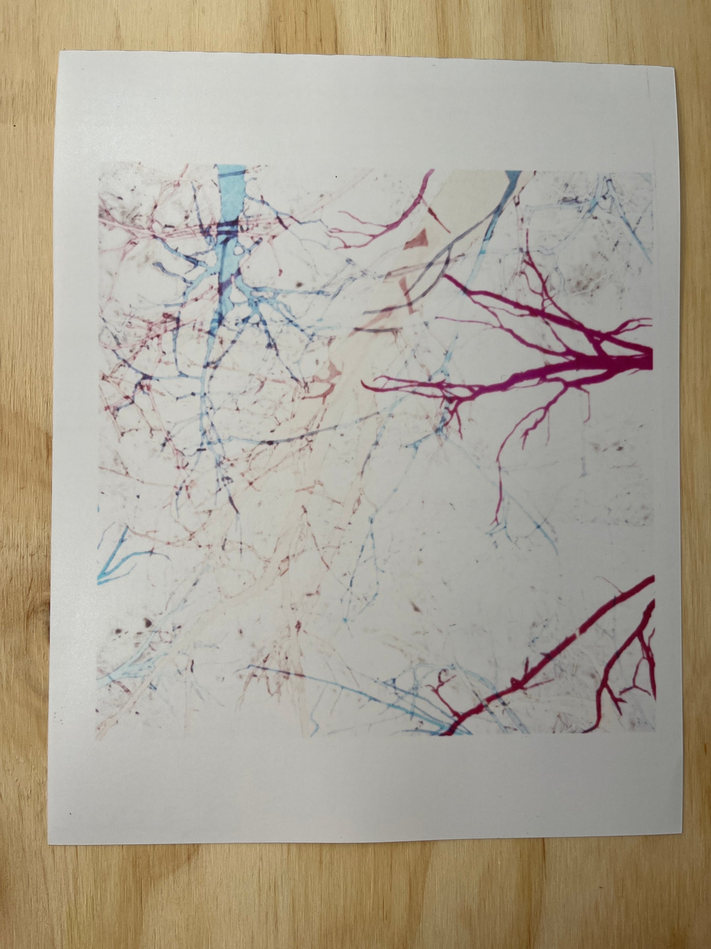 Amy Finkelstien Limited Edition Print: "This now, that now is nowhere"