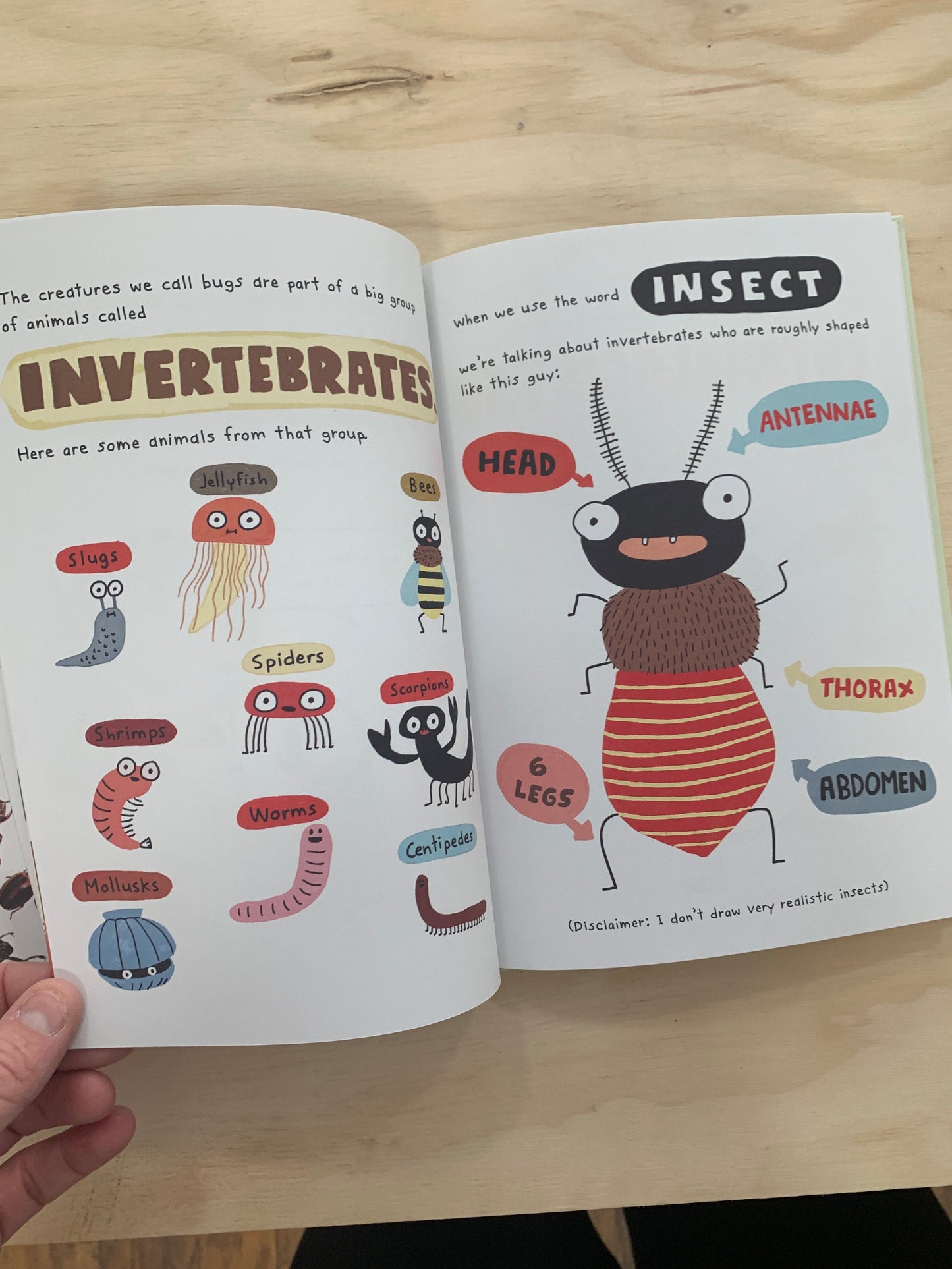The Bug Club