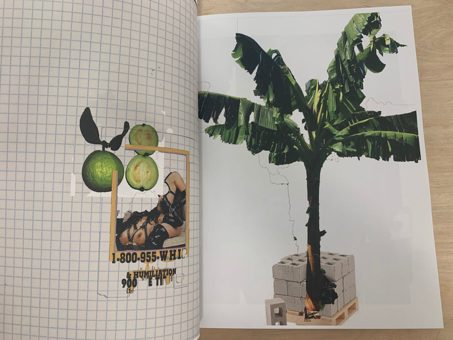 Looking for a Four Leaf Clover