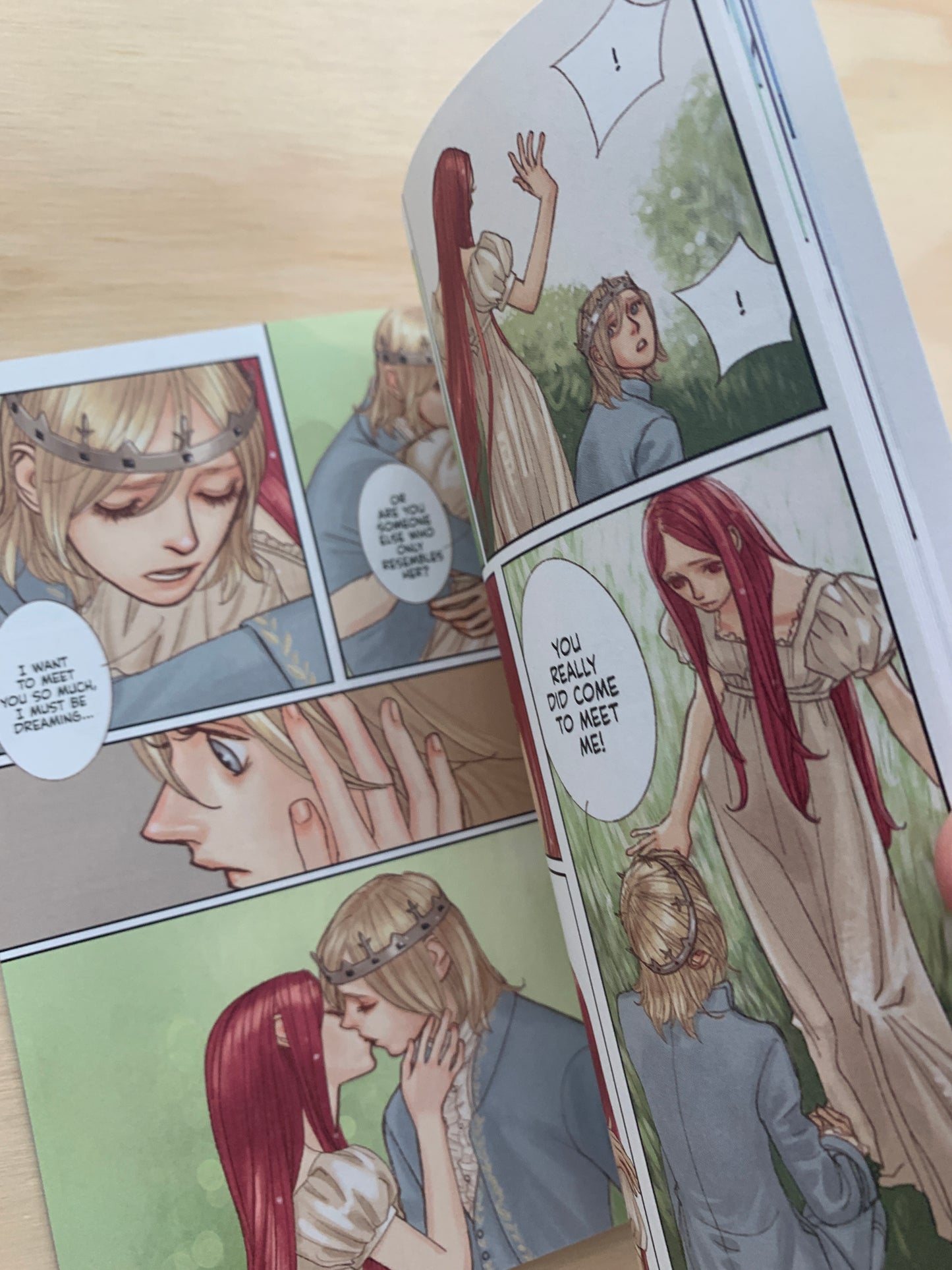 The Mermaid and the Prince