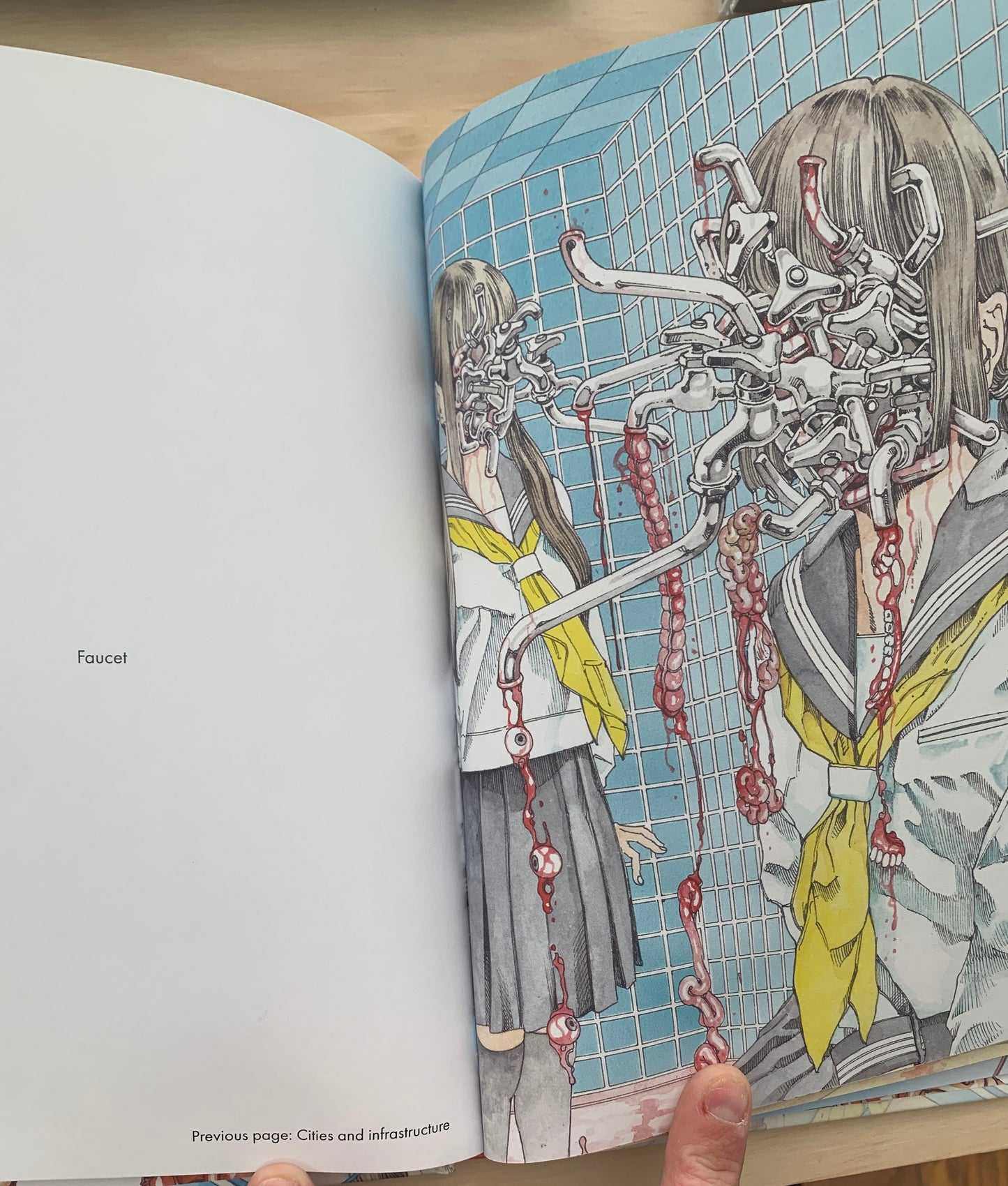 Shintaro Kago : Artbook ( 3rd edition - 6,7 x 9,5 inches)