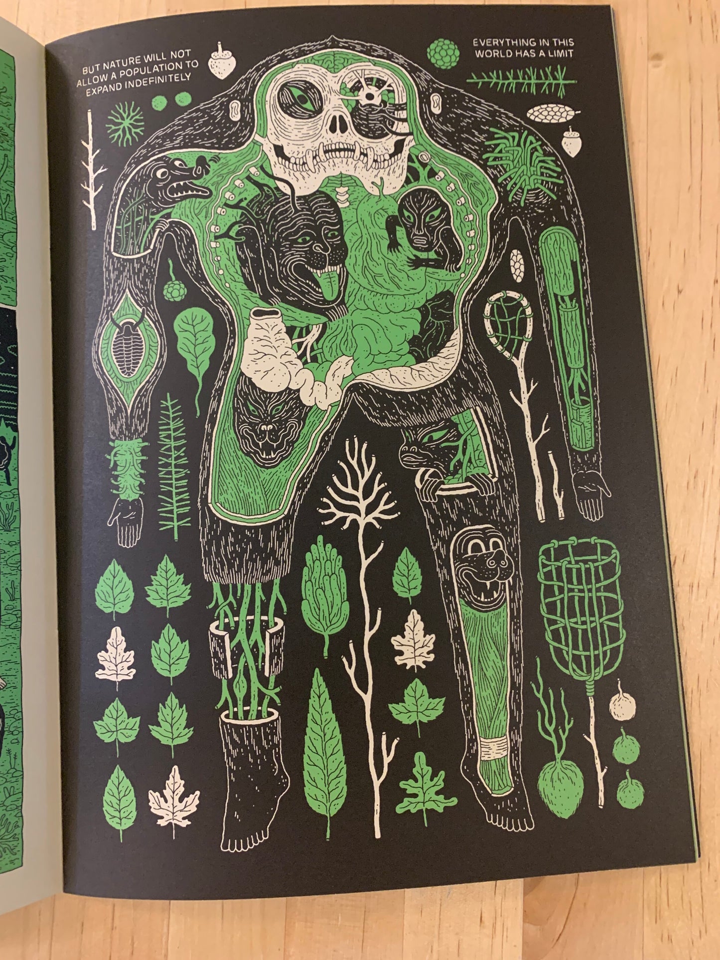 Baby in the Boneyard