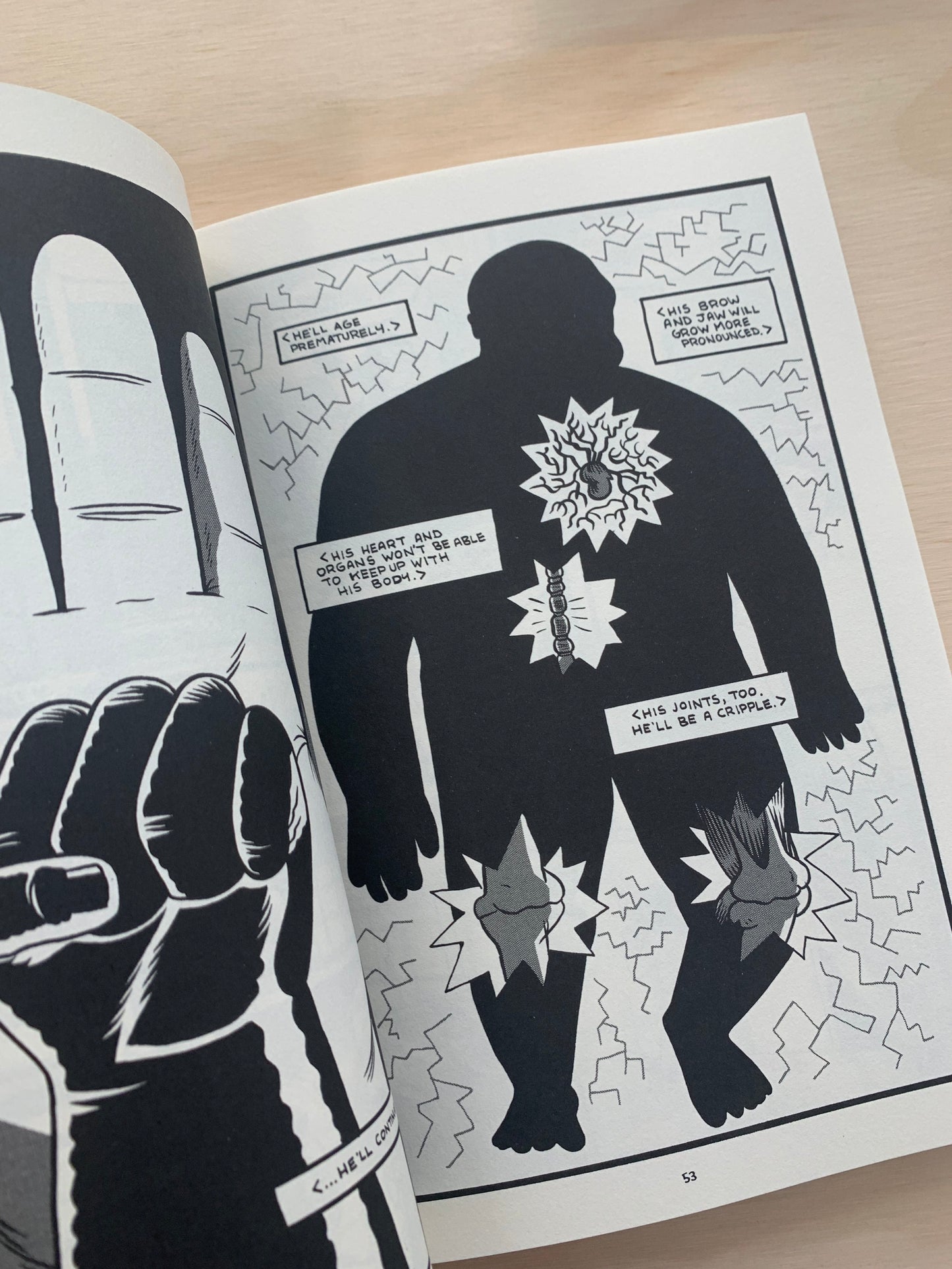 Andre the Giant: Life and Legend