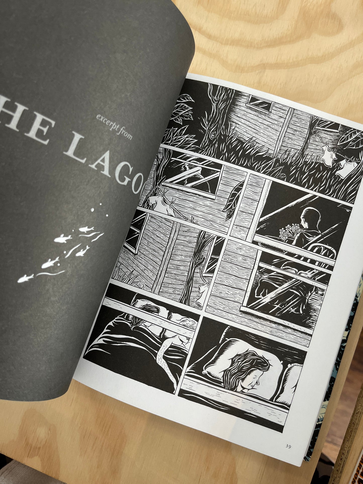 The Best American Comics 2010