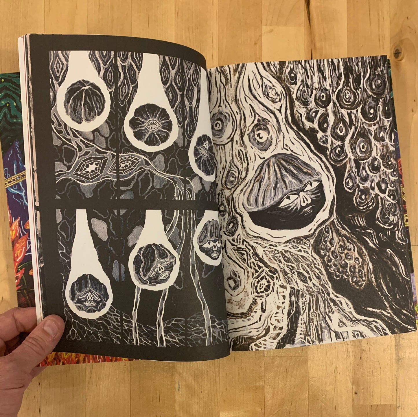 Aminoacid Boy and the Chaos Order