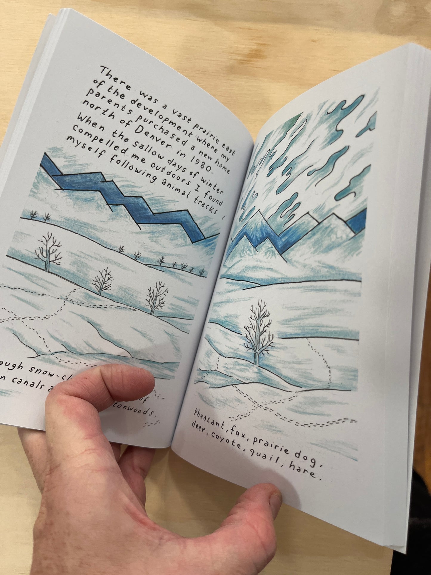 Not a Place to Visit