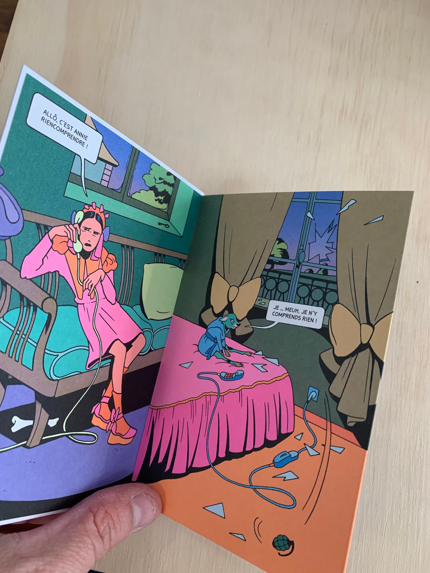 LA VEUVE ET L'ORPHELINAT