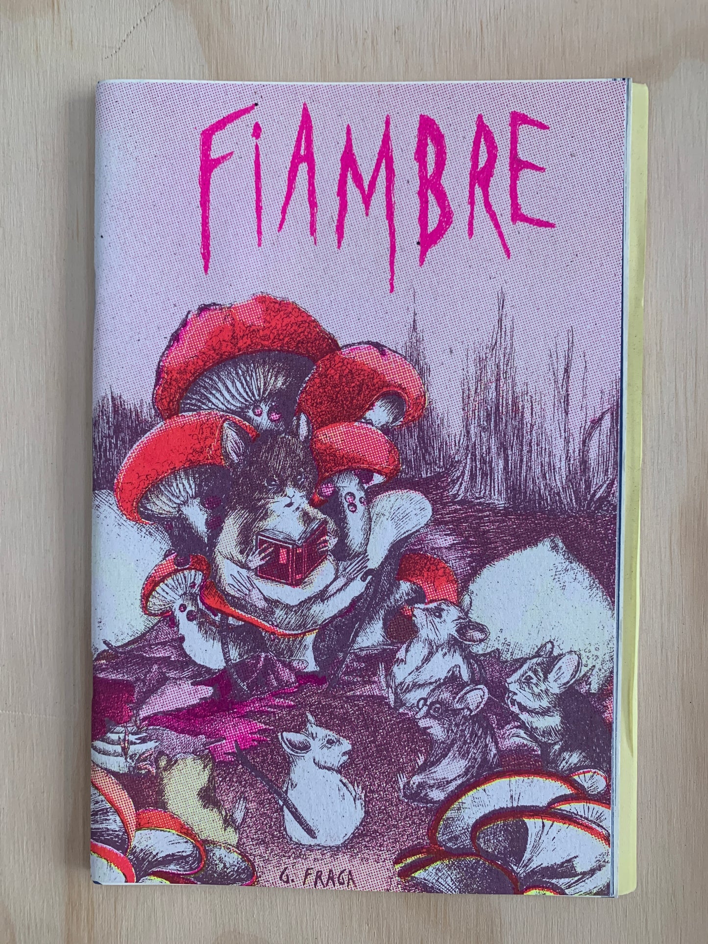 FIAMBRE BY GABRIELA FRAGA