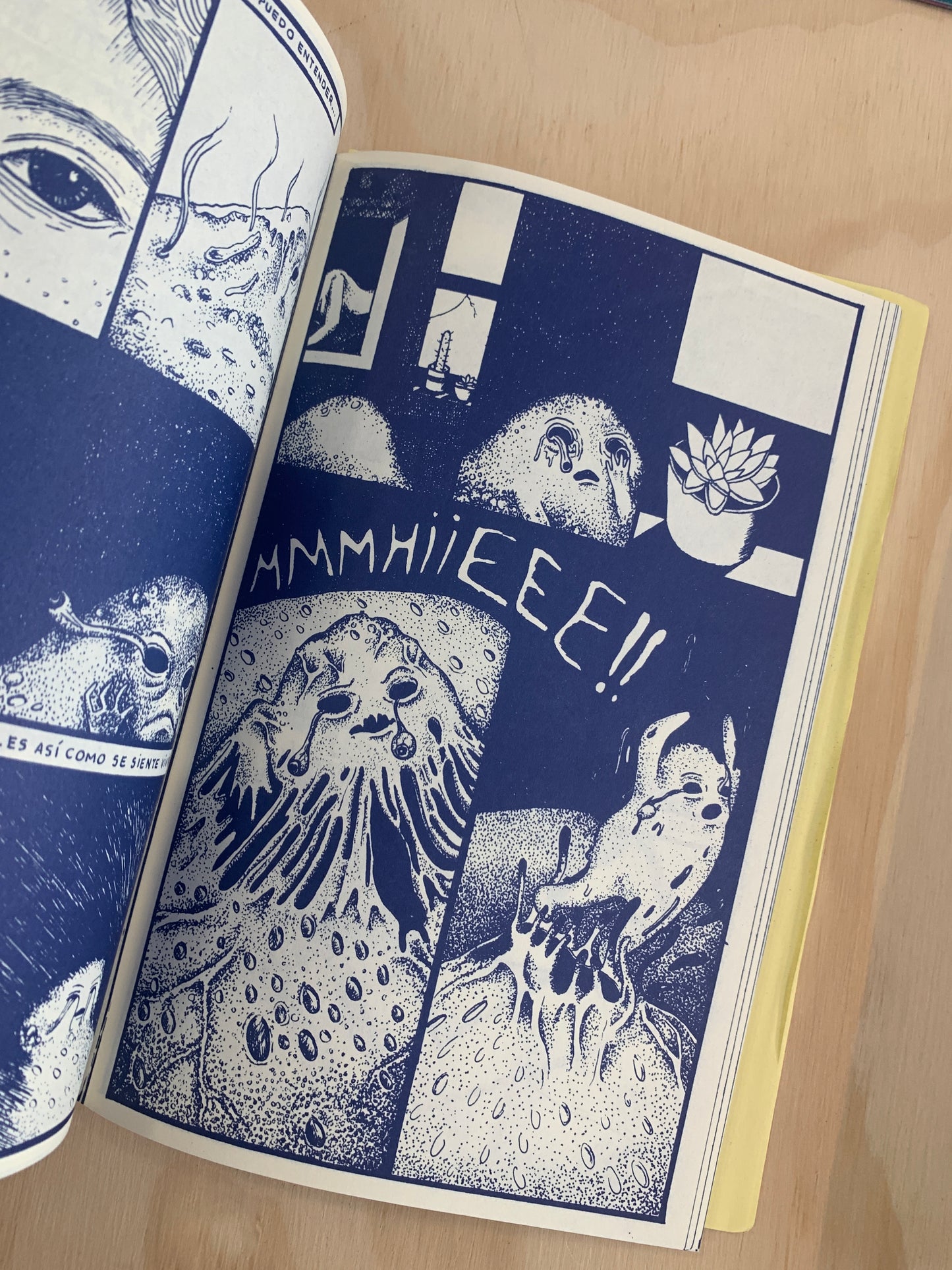 FIAMBRE BY GABRIELA FRAGA