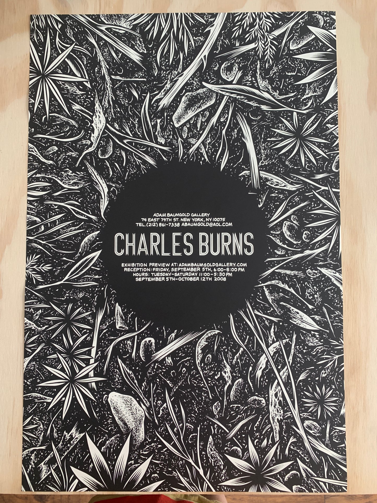 Charles Burns. Adam Baumgold Gallery Double Sided Poster!