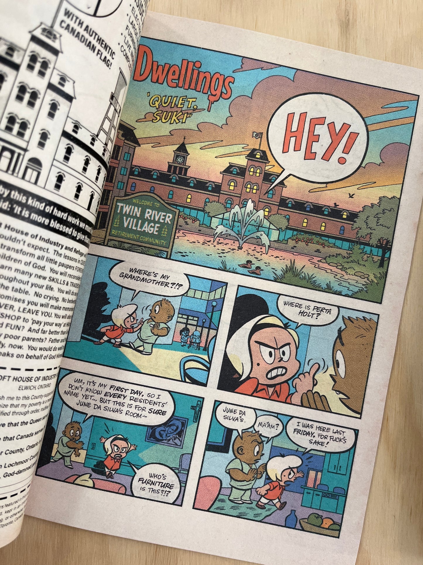 Dwellings Vol. 3 - Reprint
