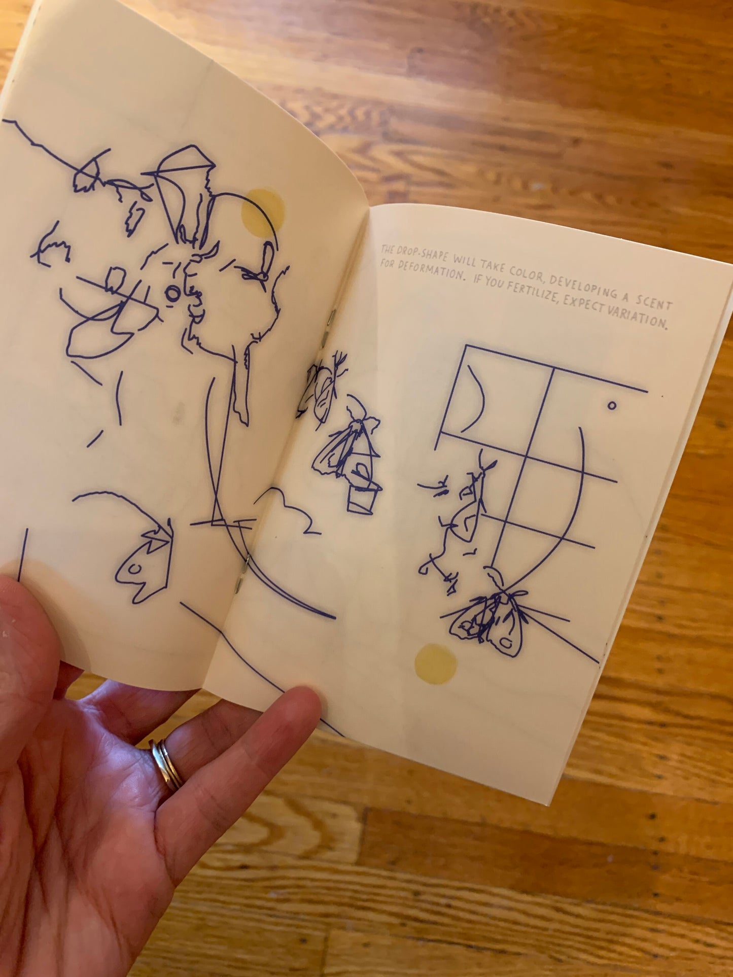 mini kuš! #80 'Open Molar'