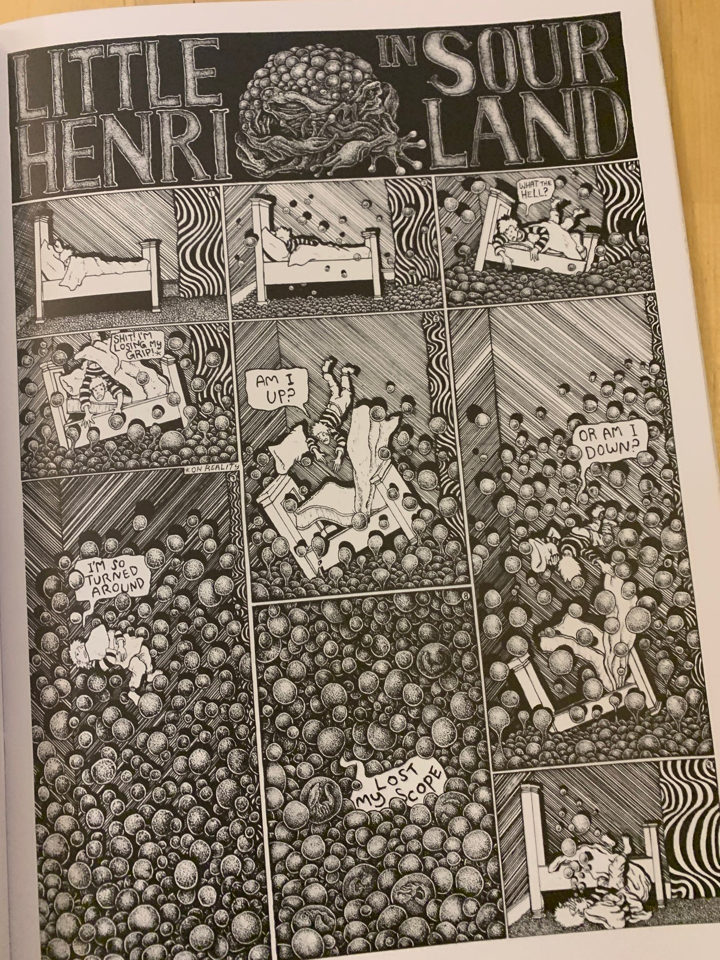 Little Henri in Sourland