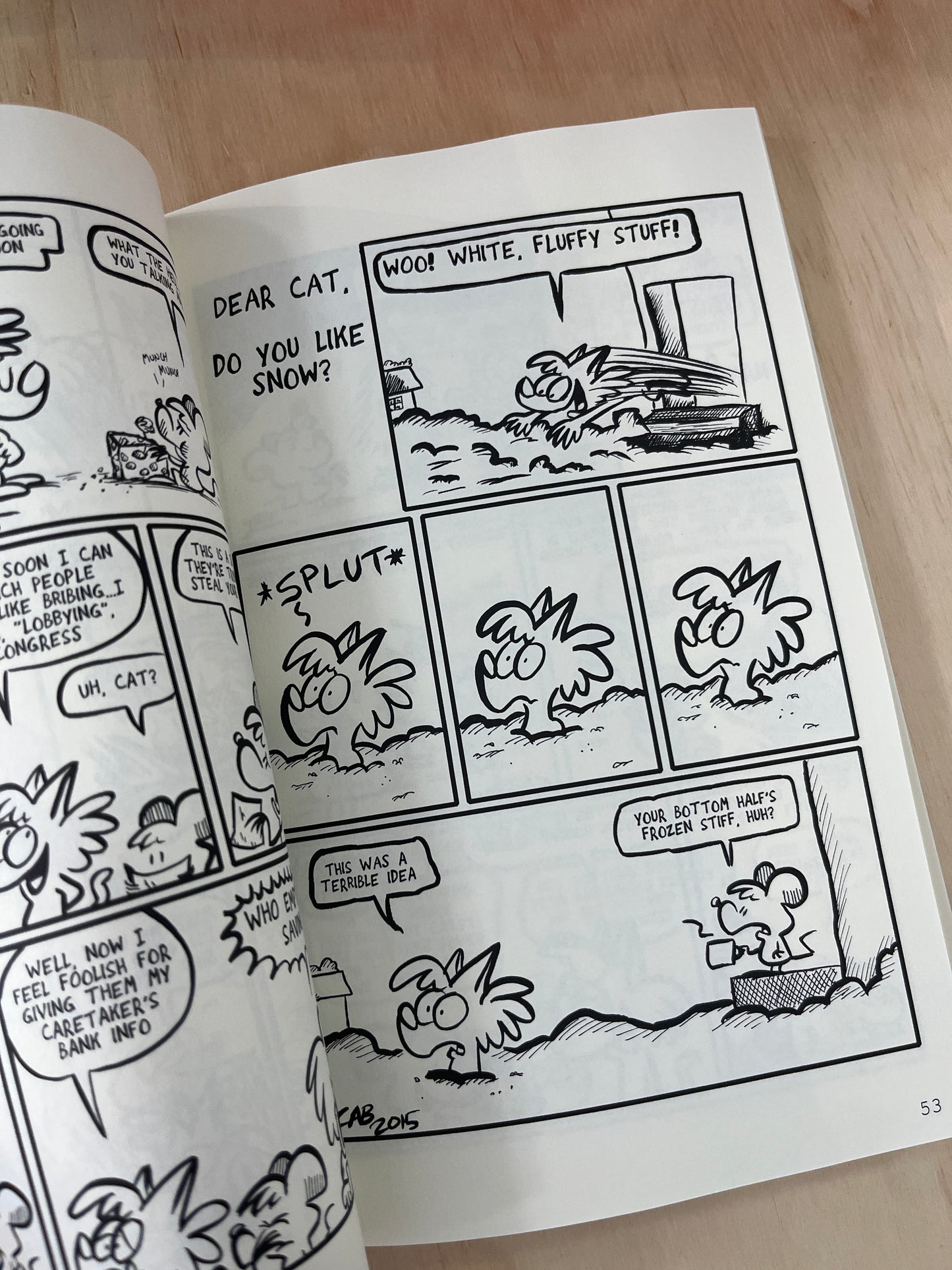 The Big Book of Cat: An Ask a Cat Omnibus