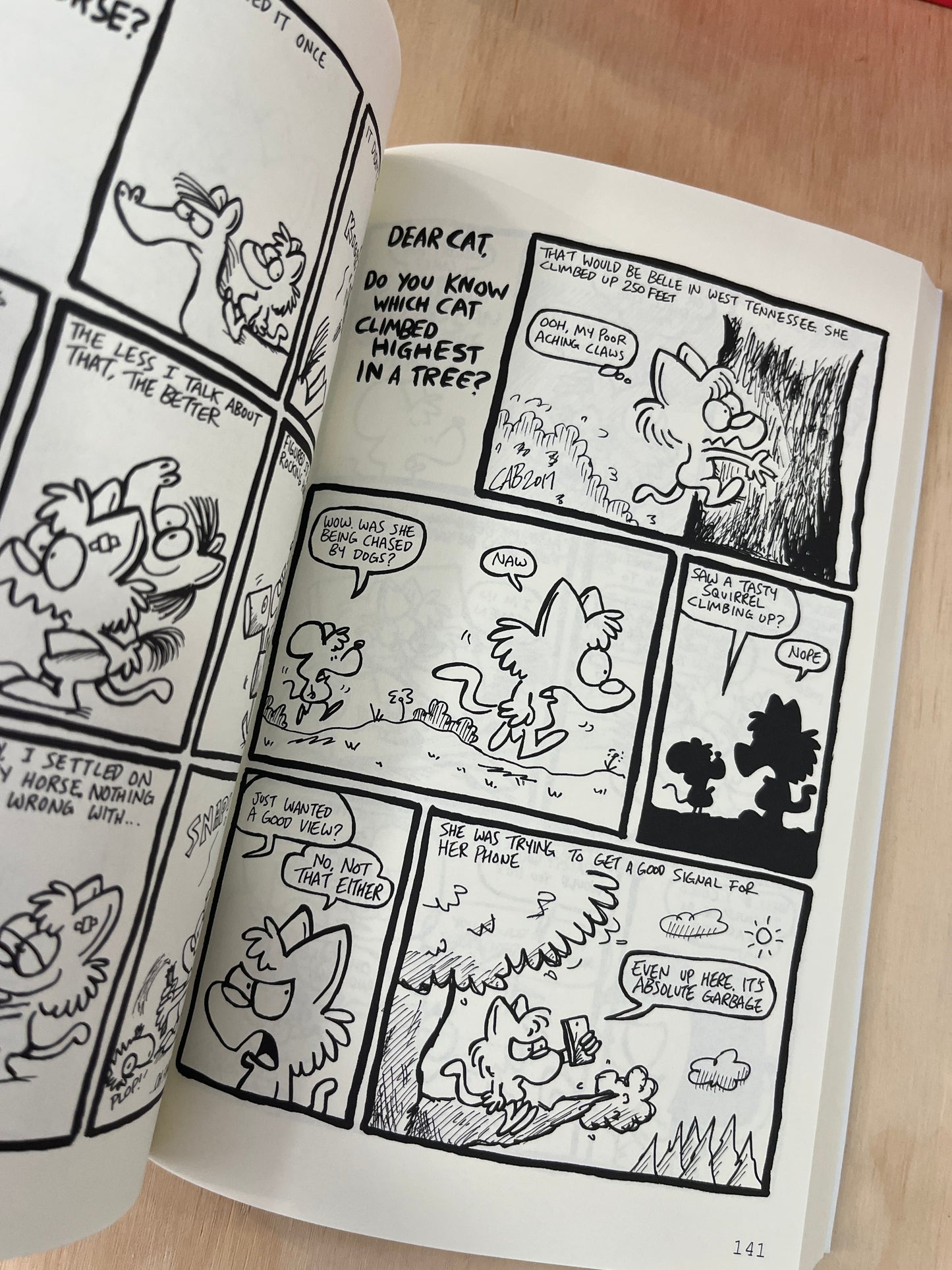 The Big Book of Cat: An Ask a Cat Omnibus