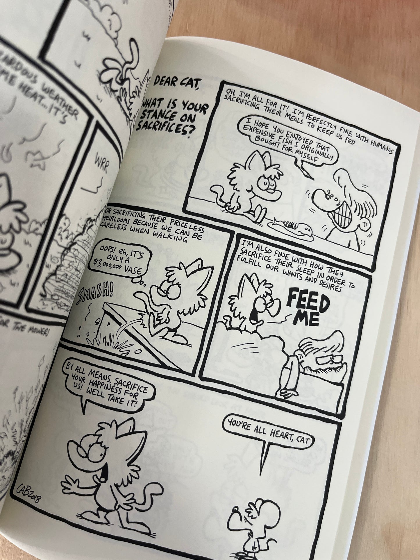 The Big Book of Cat: An Ask a Cat Omnibus