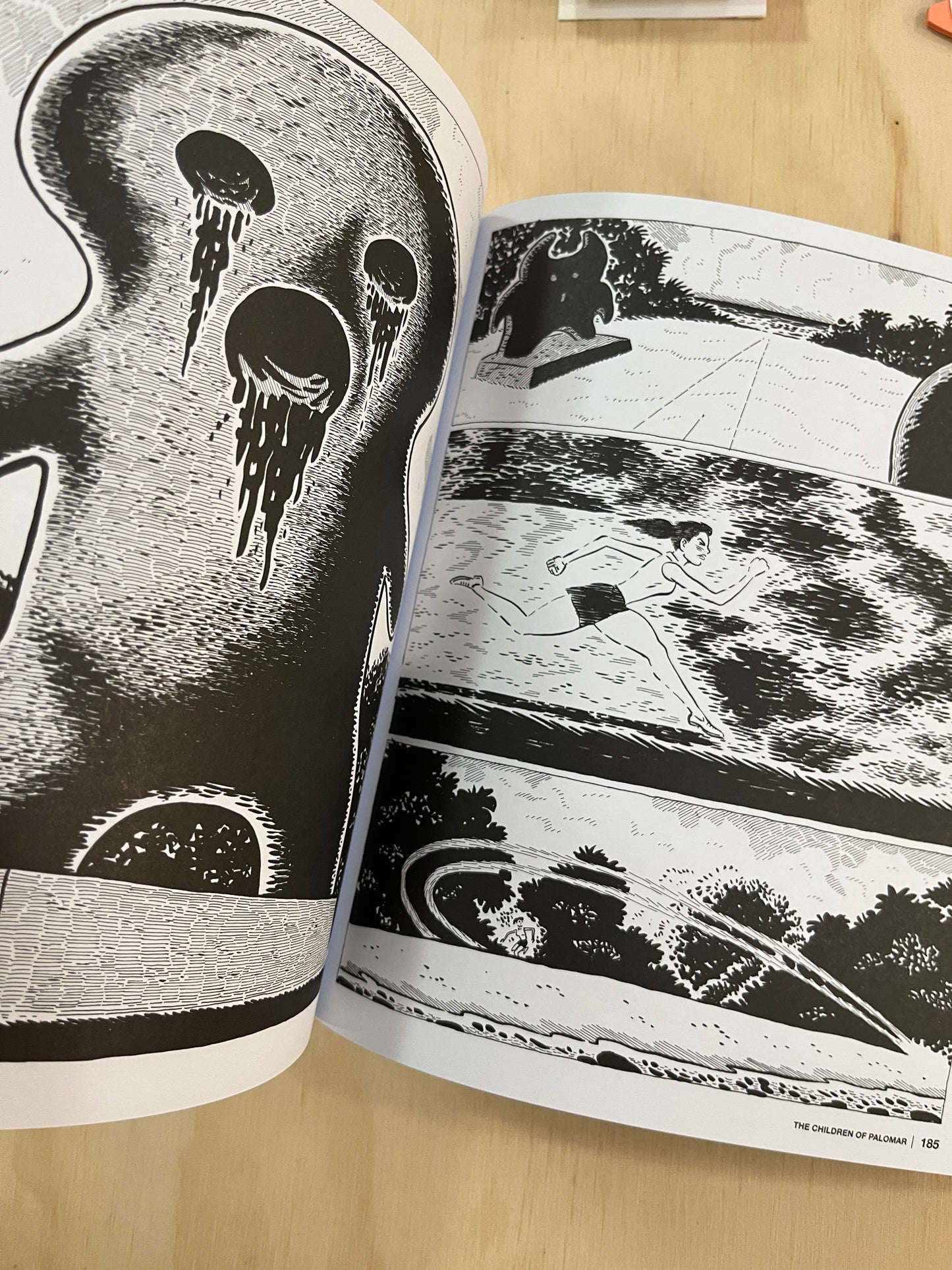 Children of Palomar and Other Tales: A Love and Rockets Book