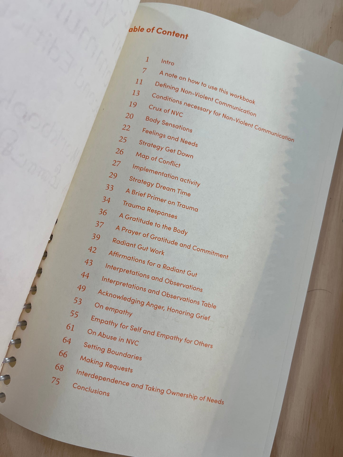 DECOLONIZING NON-VIOLENT COMMUNICATION SECOND EDITION