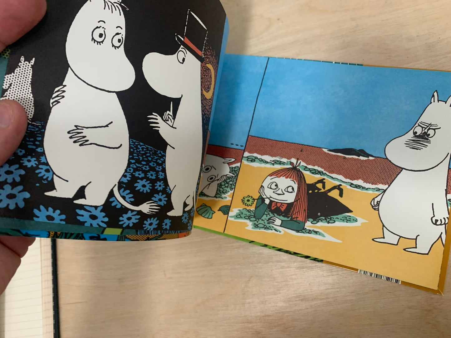 Moomin Begins a New Life