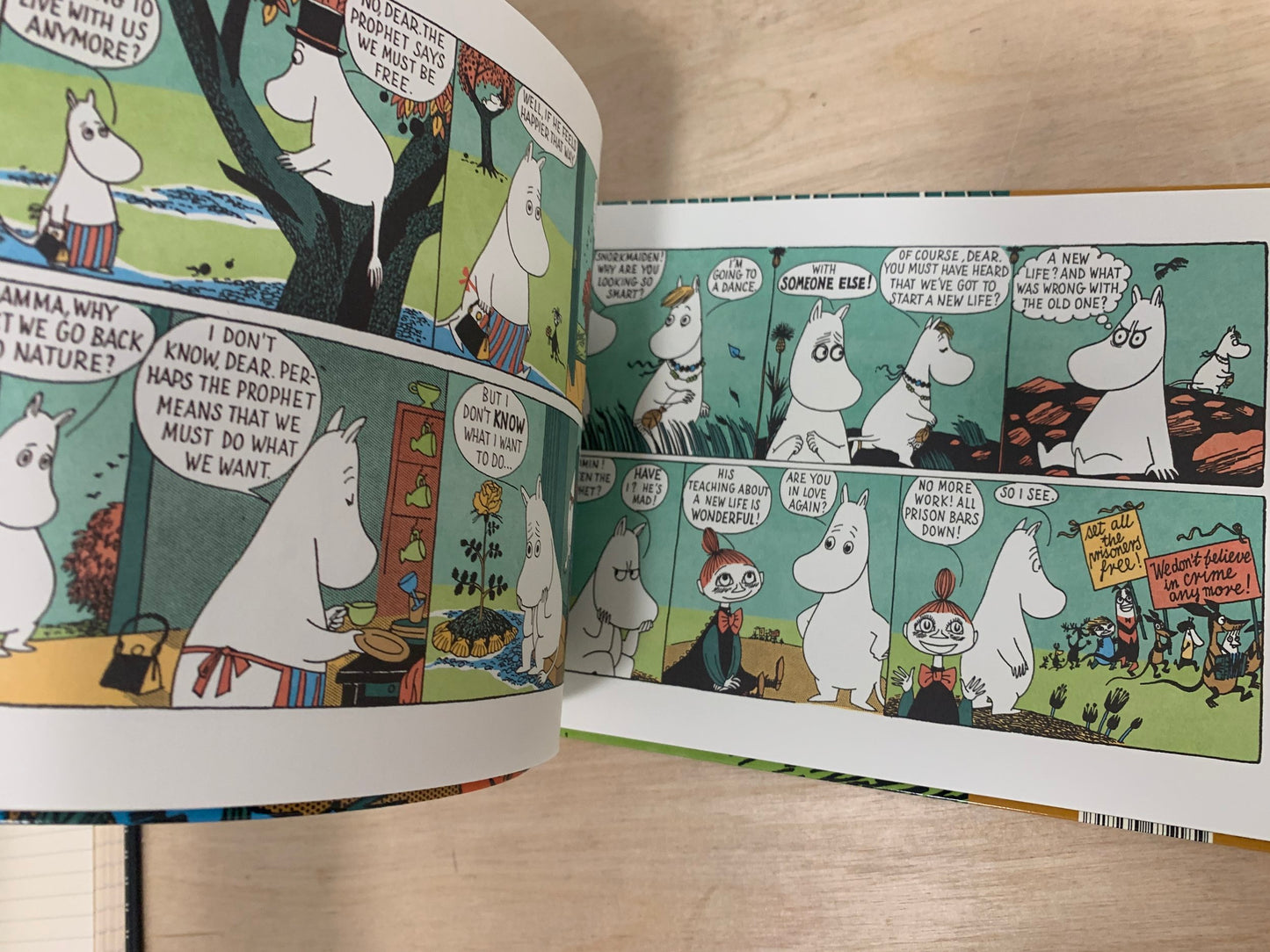Moomin Begins a New Life