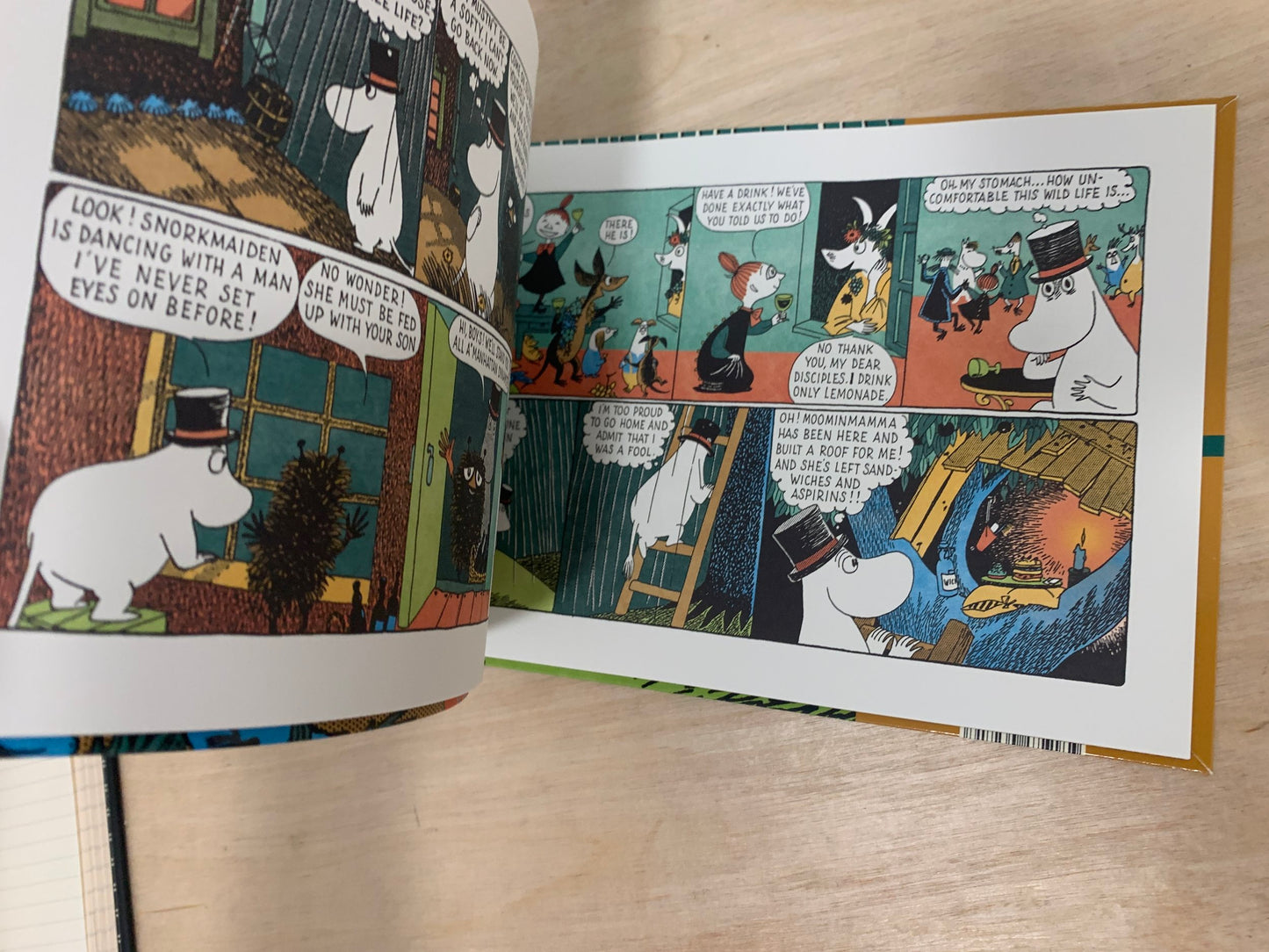 Moomin Begins a New Life