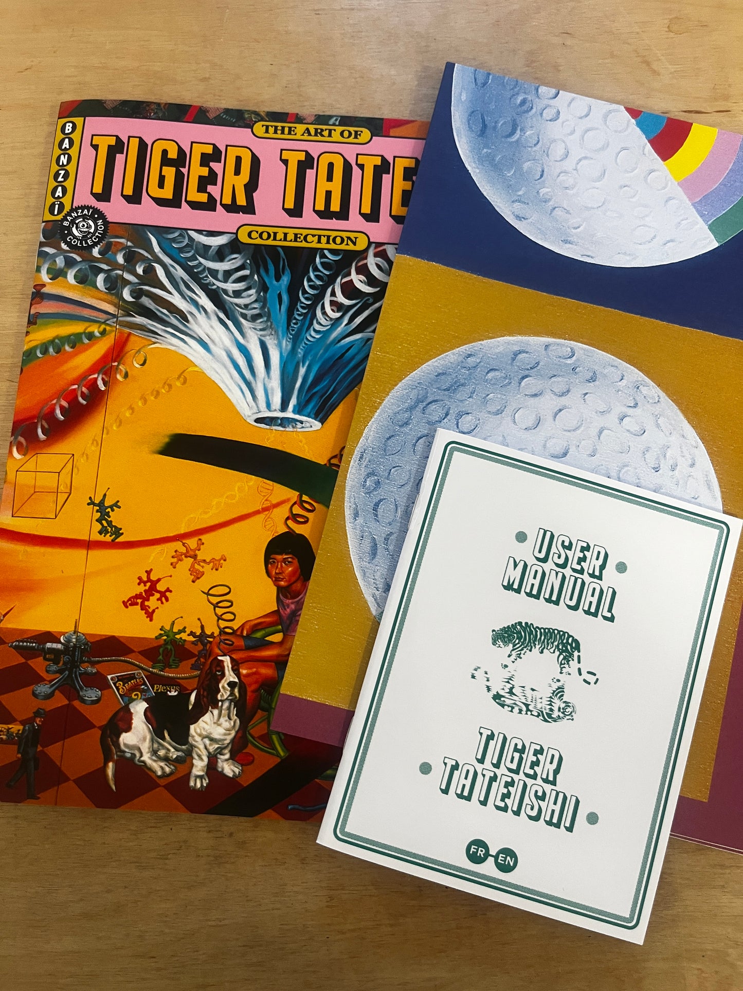 THE ART OF 17 / TIGER TATEISHI