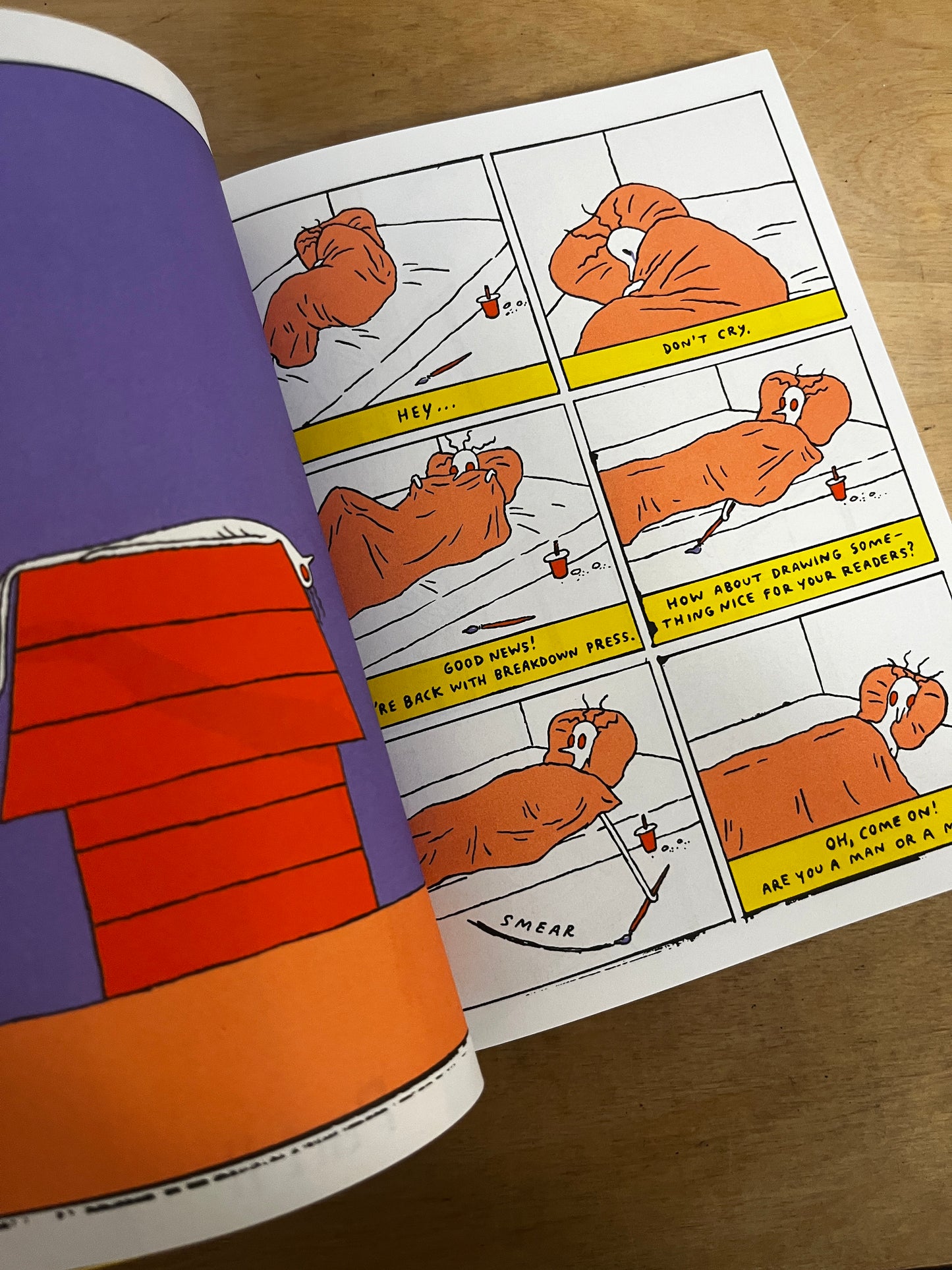 The Artist: The Portfolio Edition by Anna Haifisch