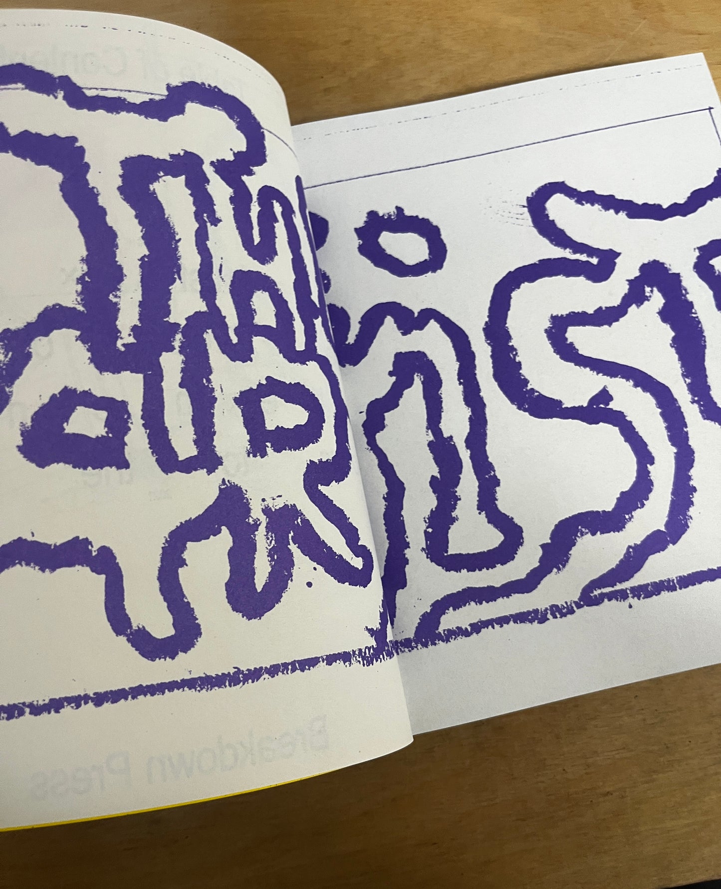 The Artist: The Portfolio Edition by Anna Haifisch