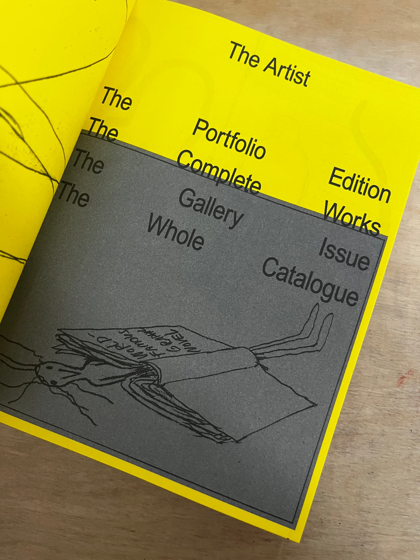 The Artist: The Portfolio Edition by Anna Haifisch