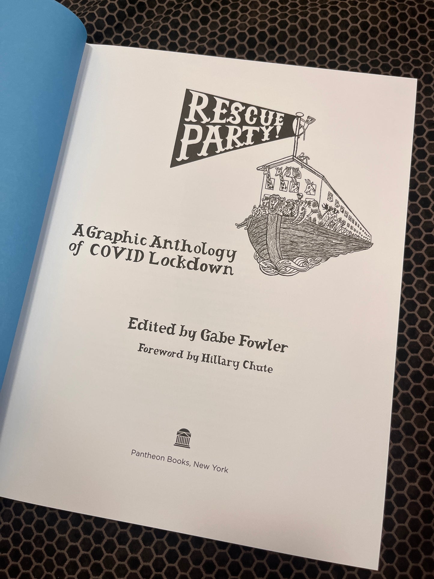 Rescue Party
A GRAPHIC ANTHOLOGY OF COVID LOCKDOWN