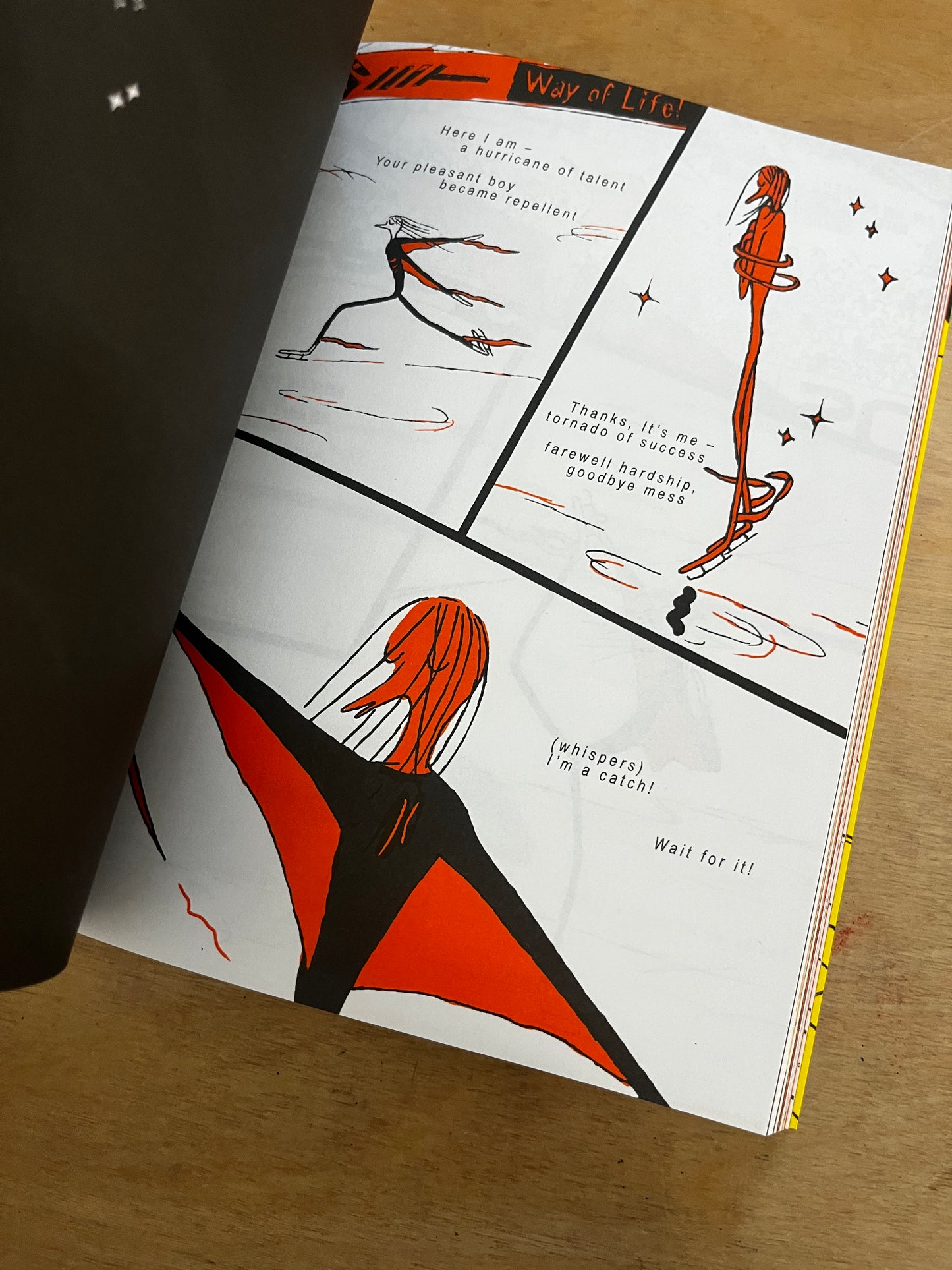 The Artist: The Portfolio Edition by Anna Haifisch