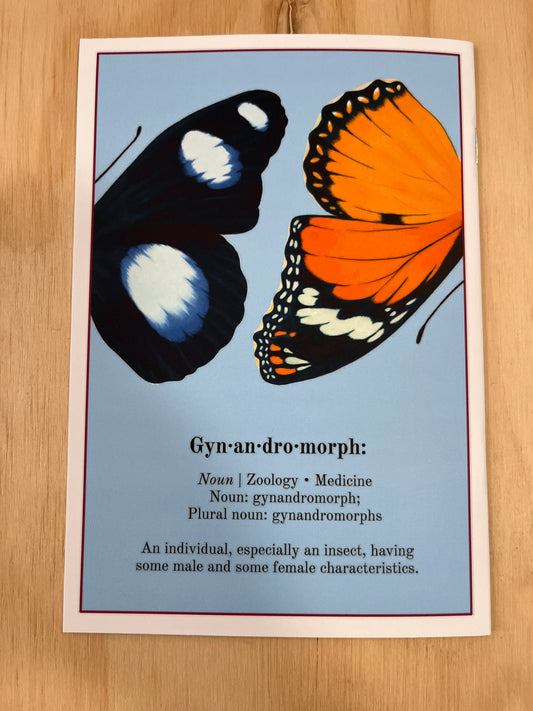 Gynandromorphs