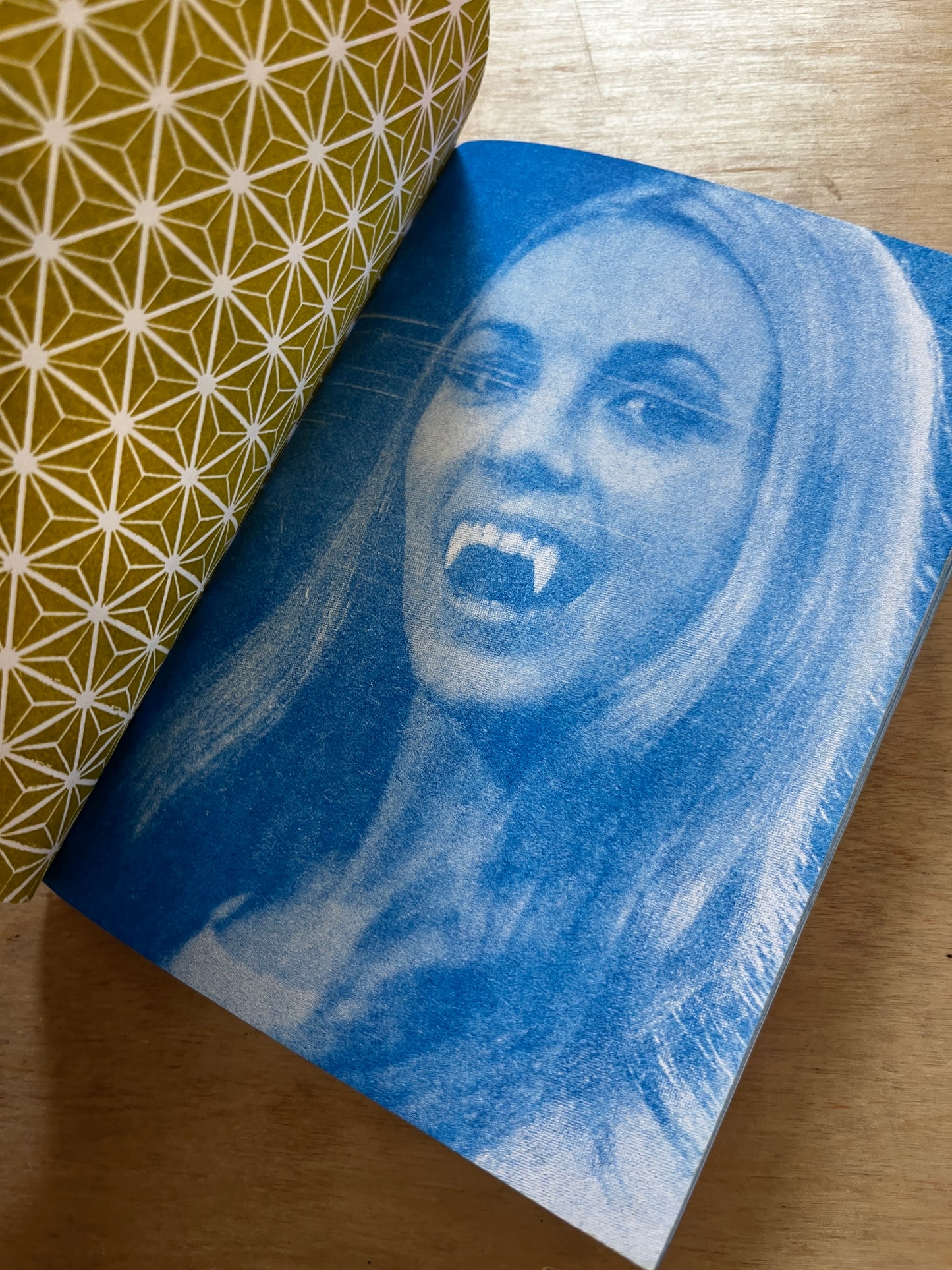 Terror House Zine