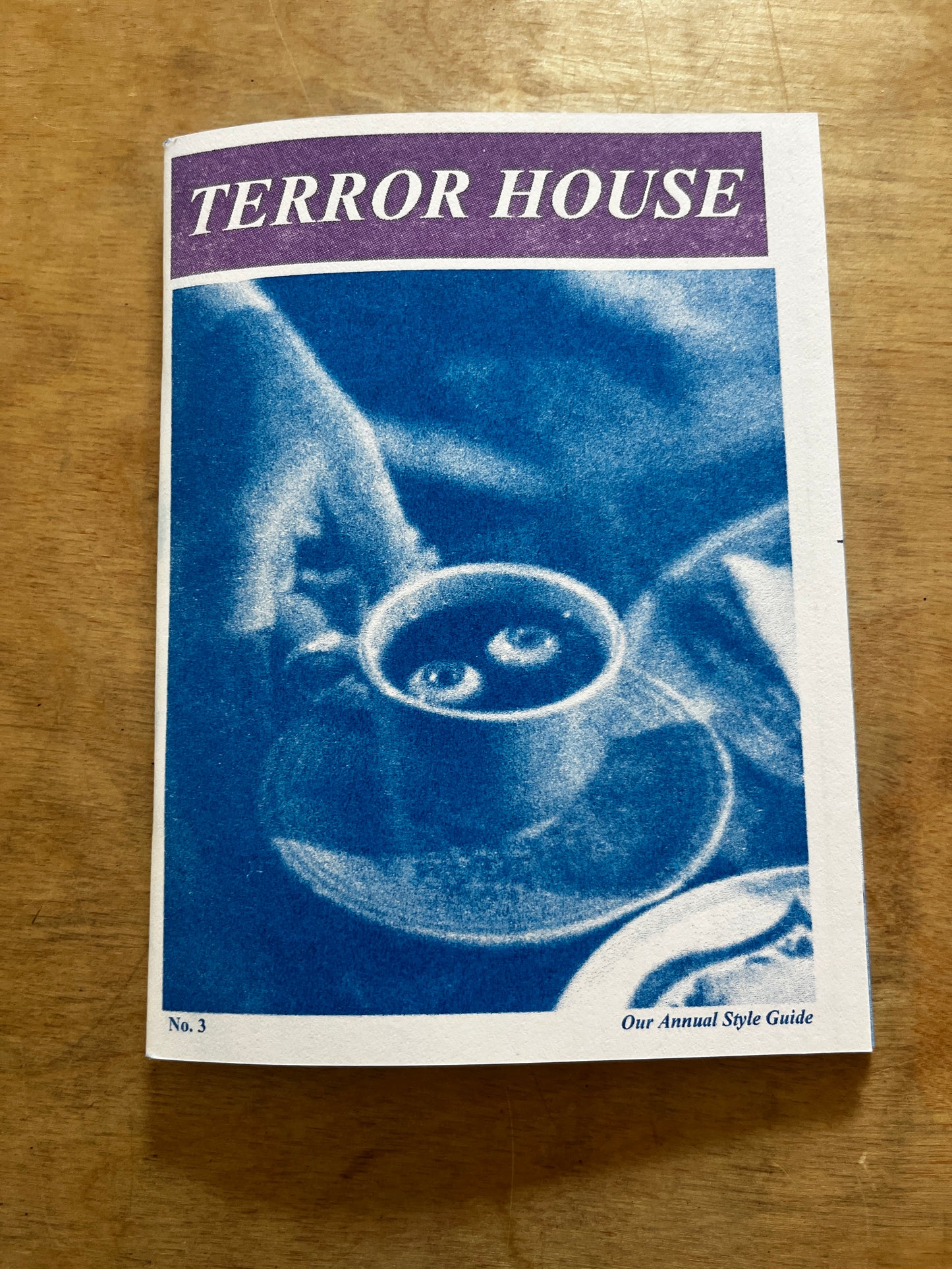 Terror House Zine