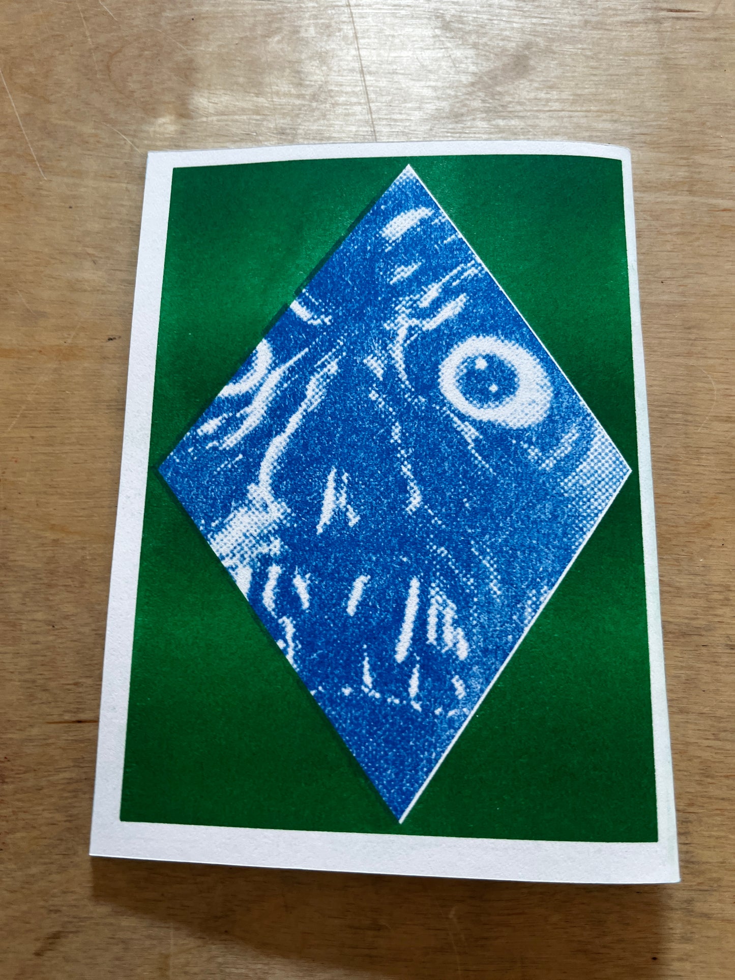 Terror House Zine