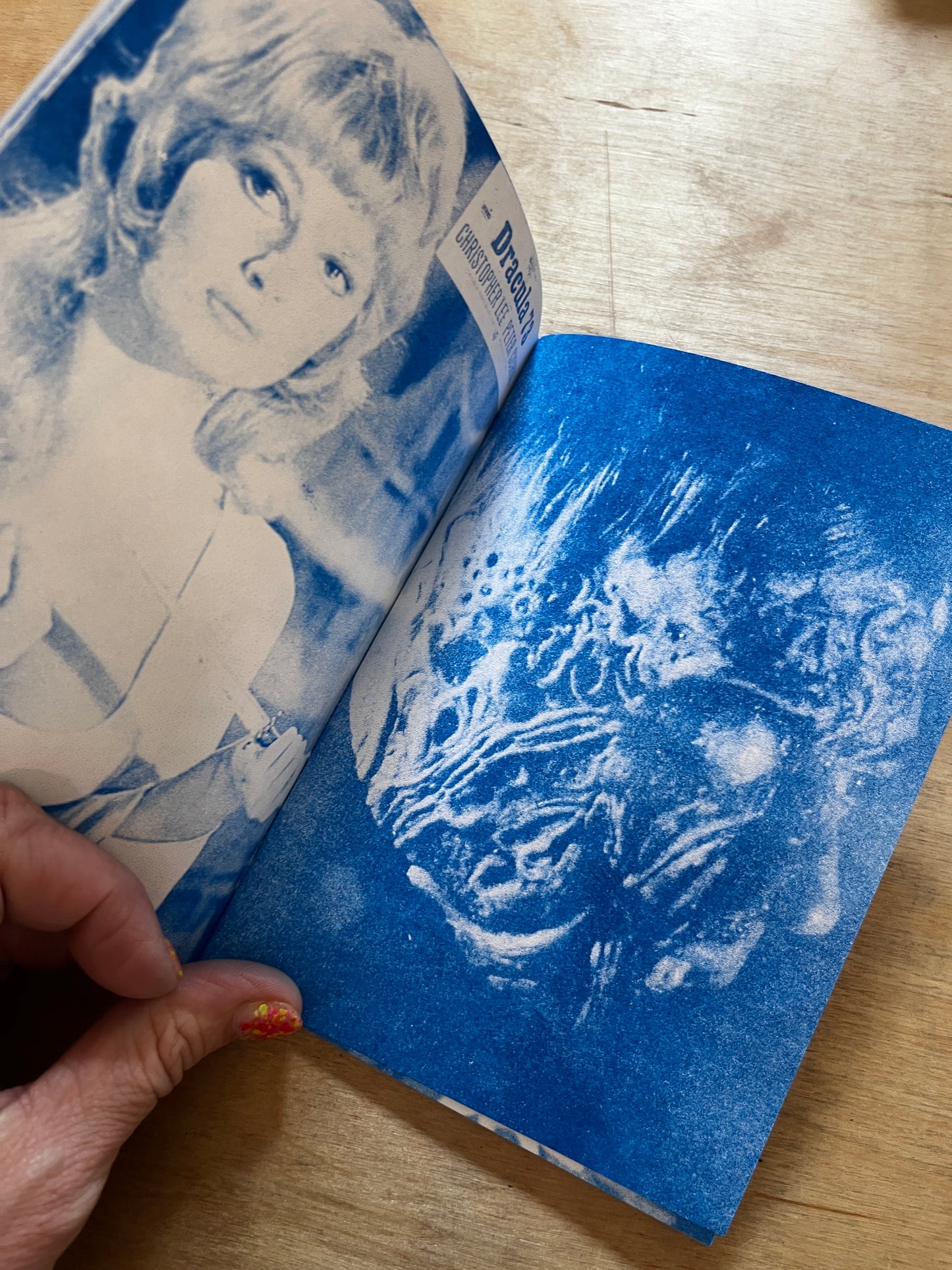 Terror House Zine