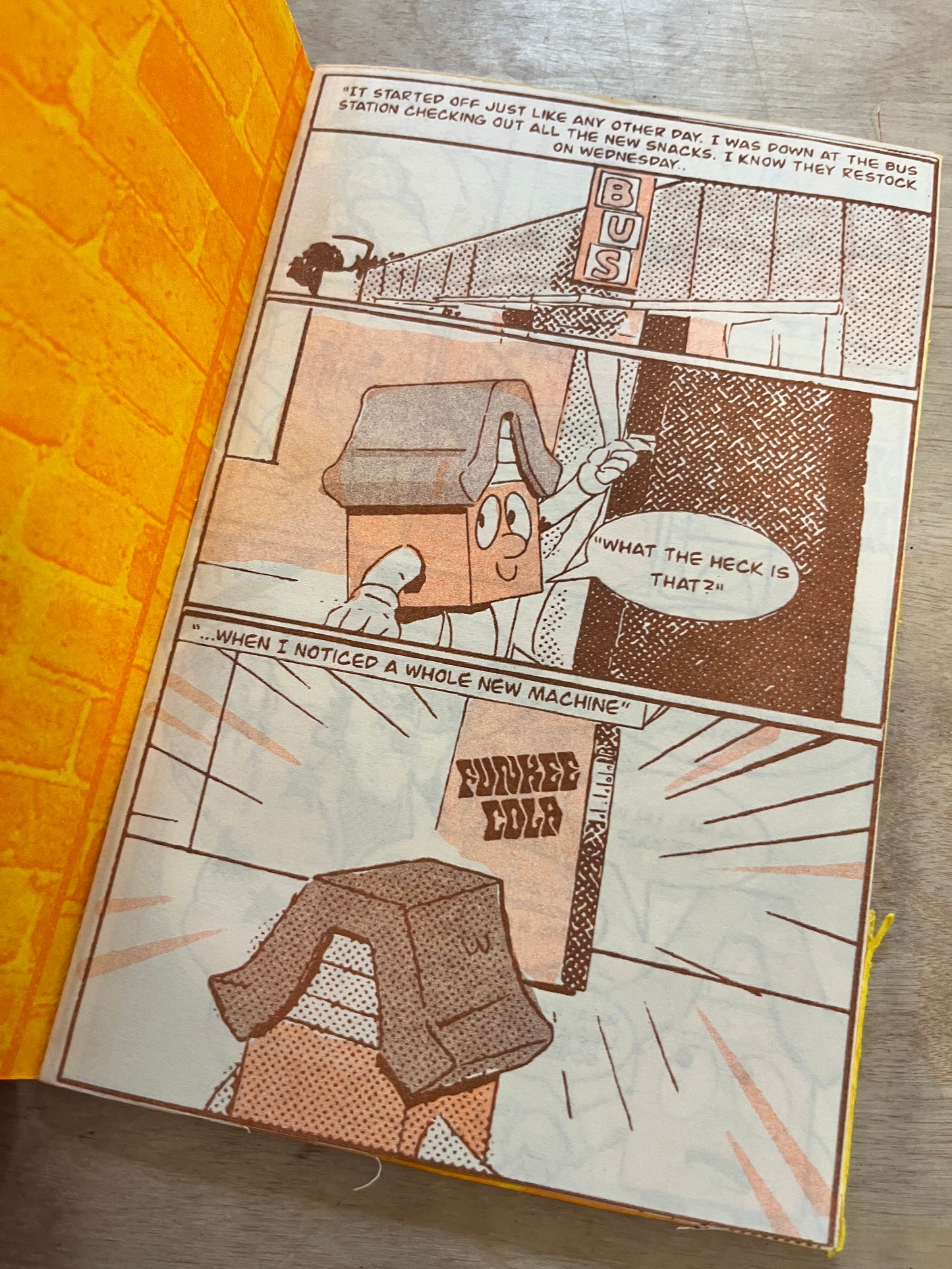 HOMEBOY: TEENAGE HOUSE WITH ATTITUDE"