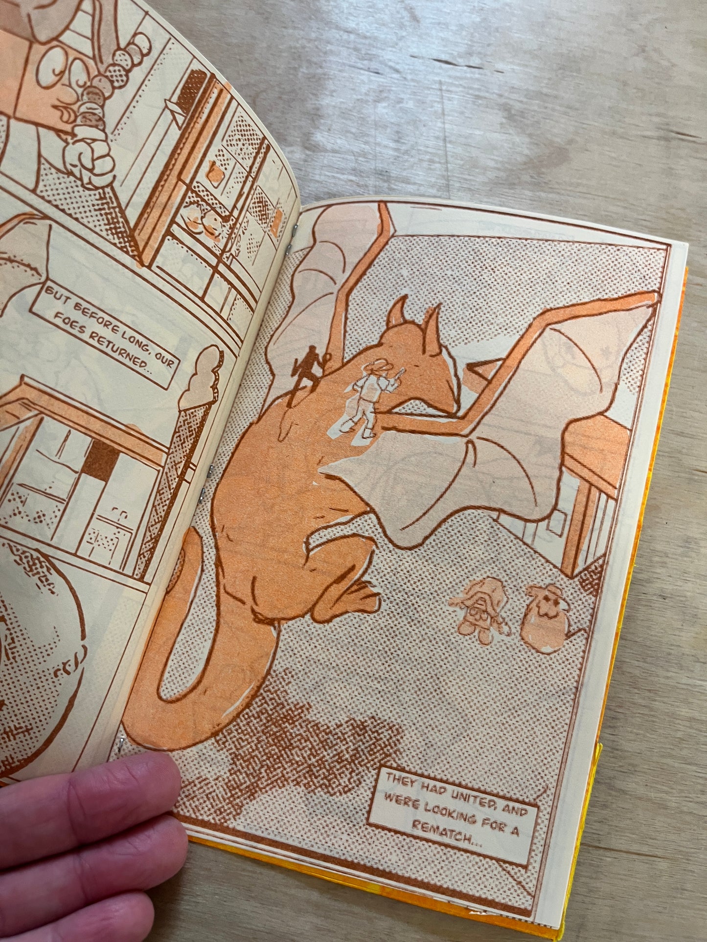 HOMEBOY: TEENAGE HOUSE WITH ATTITUDE"