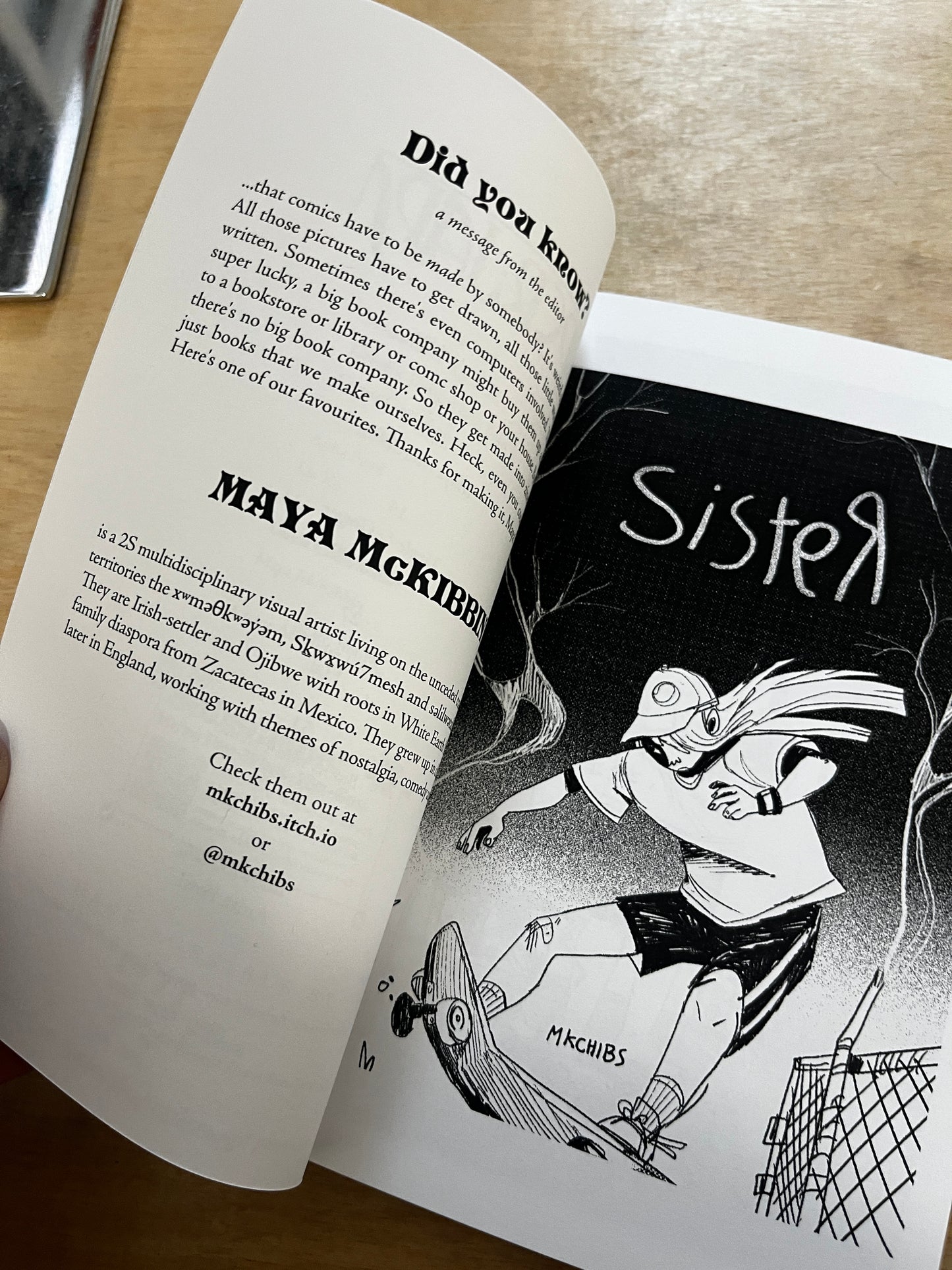 Perhaps (Y/A) Indie Comics Magazine