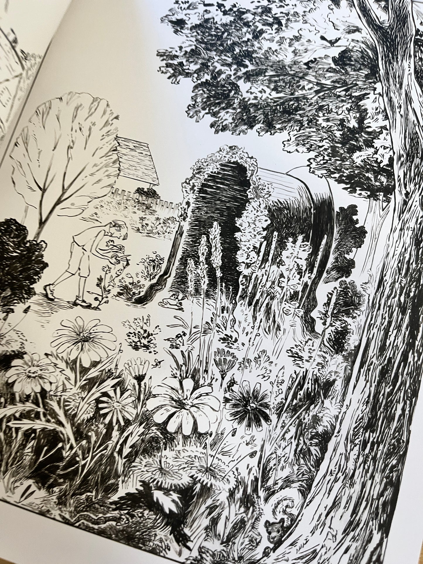 The Ephemerata: Shaping the Exquisite Nature of Grief