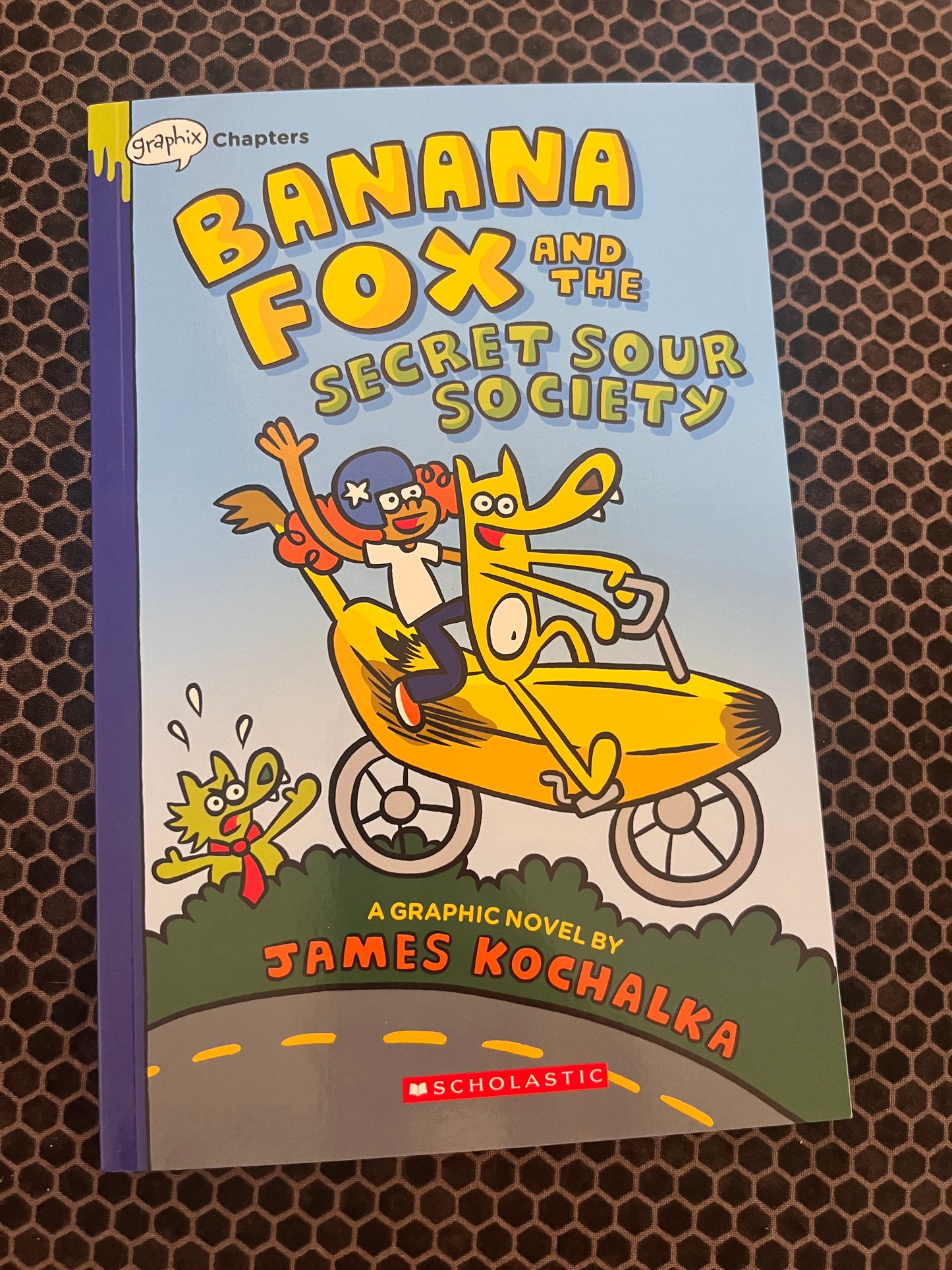 Banana Fox and the Secret Sour Society: A Graphix Chapters Book (Banana Fox #1)