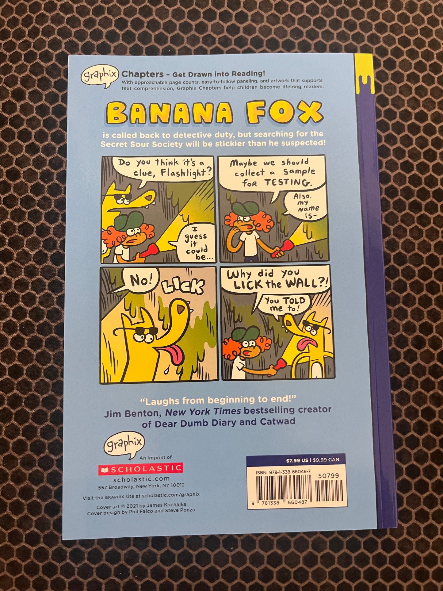 Banana Fox and the Secret Sour Society: A Graphix Chapters Book (Banana Fox #1)