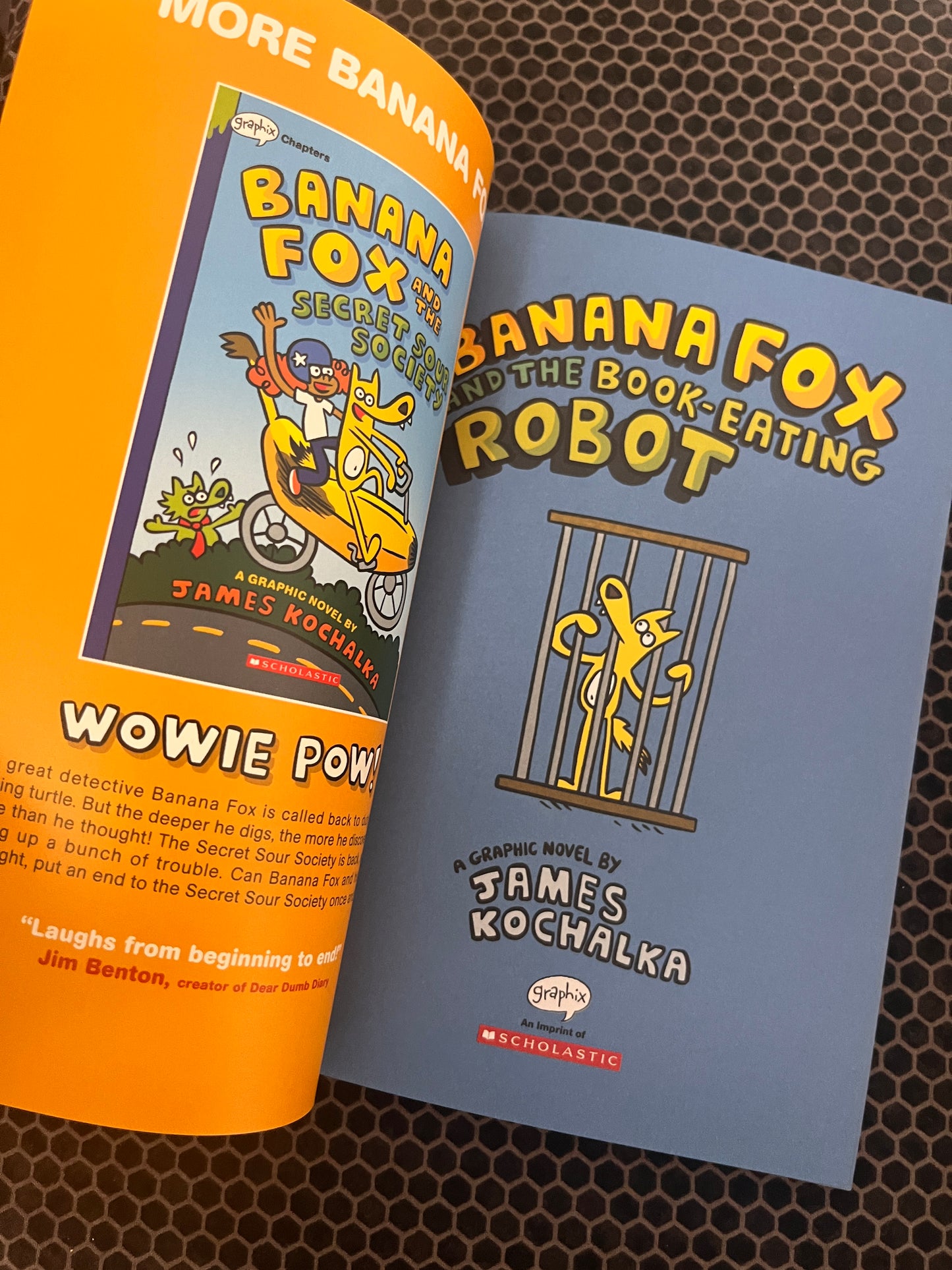 Banana Fox and the Book-Eating Robot: A Graphix Chapters Book (Banana Fox #2)