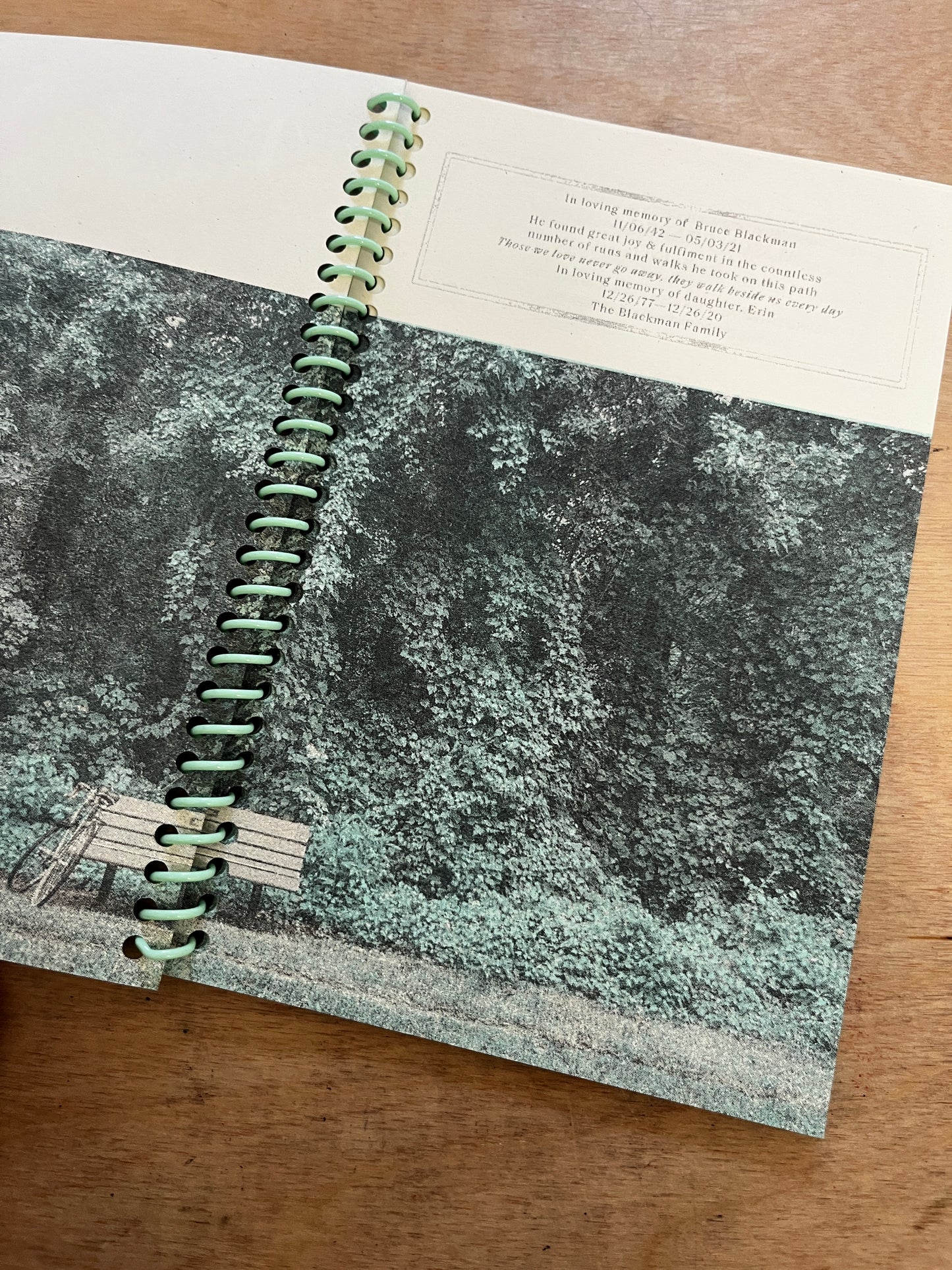 This Book is a Bench