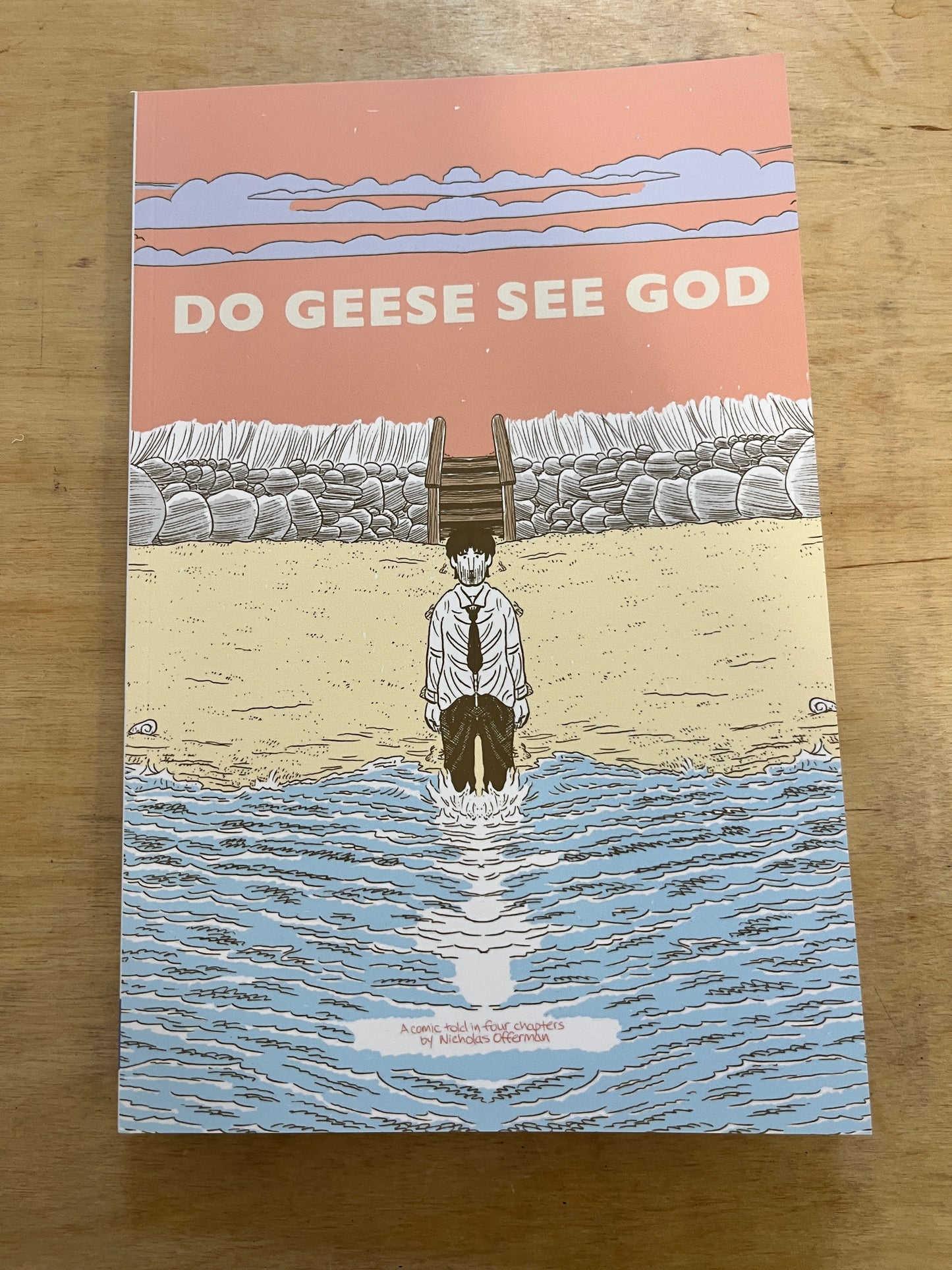 Do Geese See God